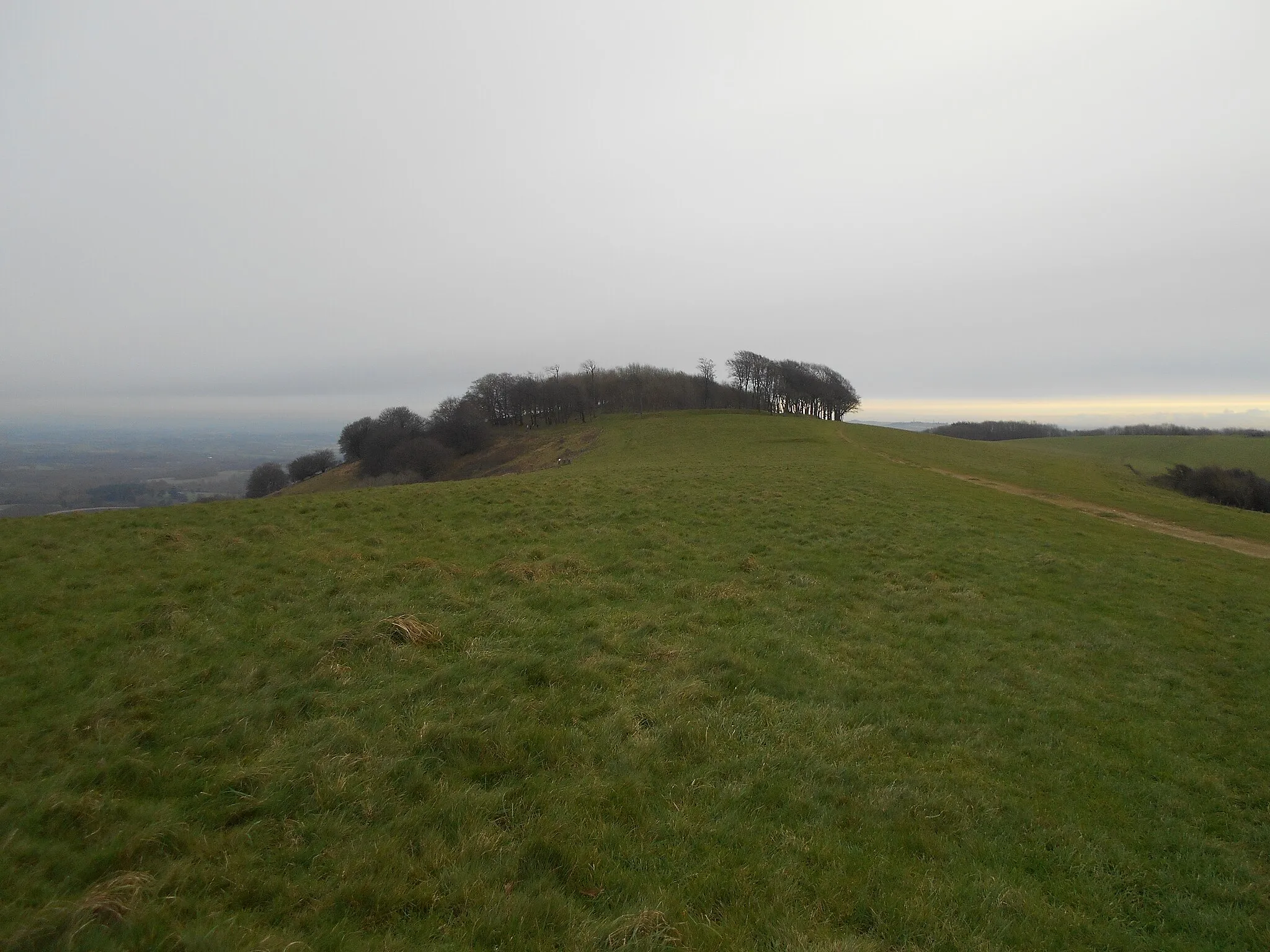 Photo showing: Chanctonbury RIng Iron Age hillfort, with bowl barrow on Chanctonbury Hill, 200m west of the hillfort (the barrow is the dark patch in front of the hillfort) beside the South Downs Way. Late Neolithic to Early Bronze Age. West Sussex, England.