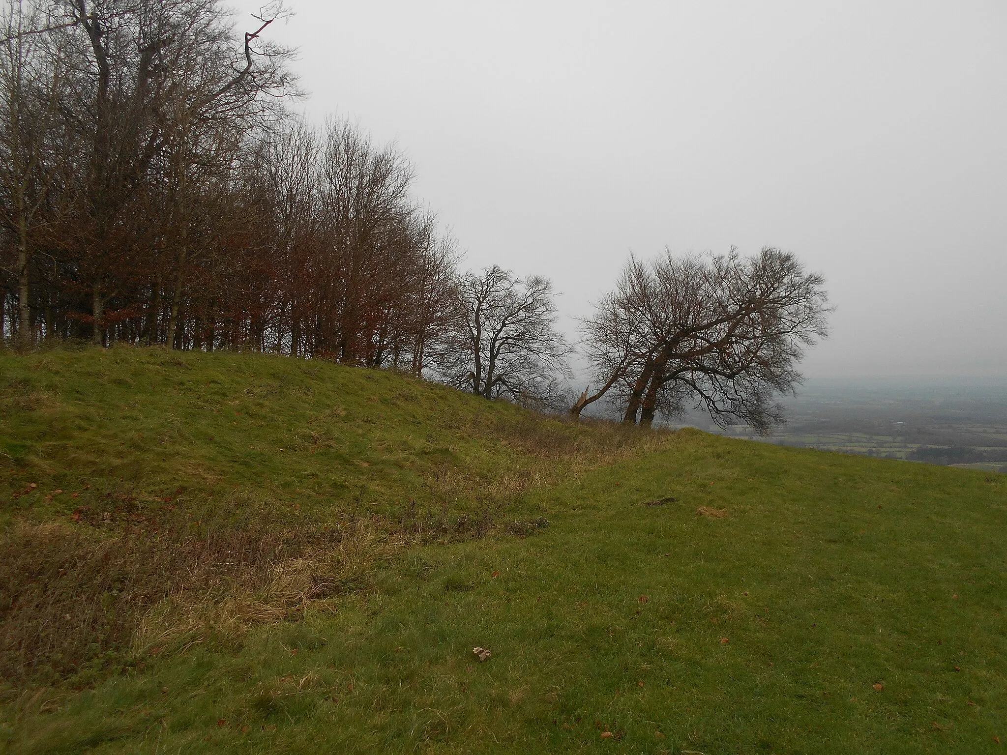 Photo showing: Rampart of the Chanctonbury Ring Iron Age hillfort.