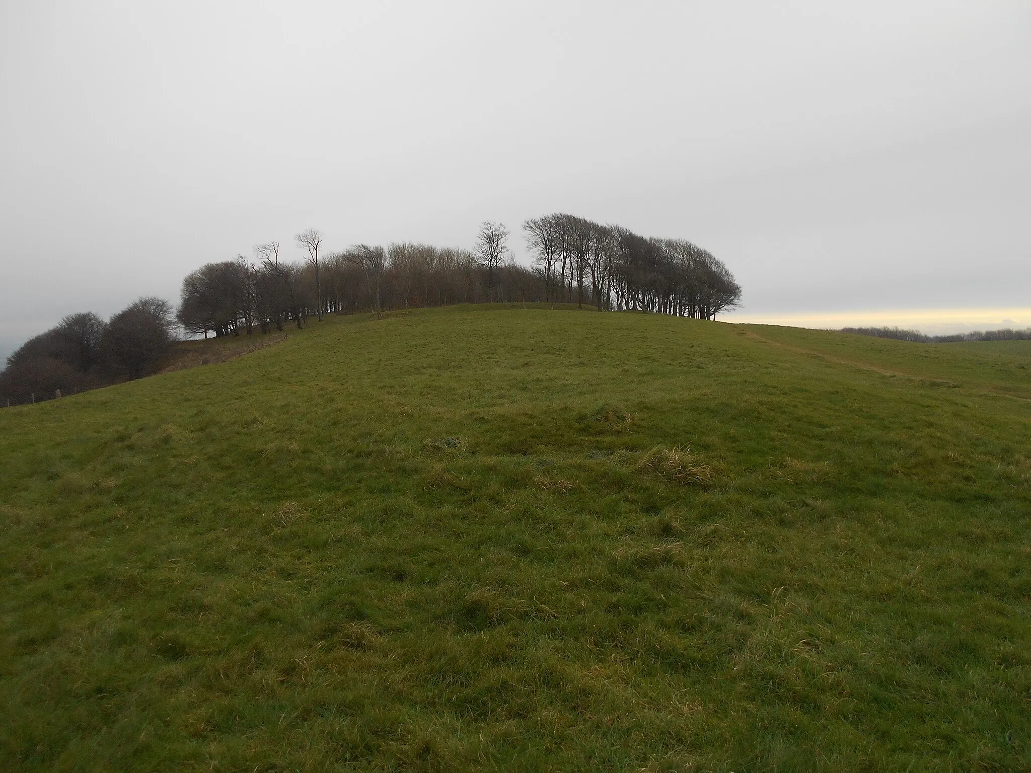 Photo showing: Bowl barrow on Chanctonbury Hill, 200m west of Chanctonbury Ring hillfort, beside the South Downs Way. Late Neolithic to Early Bronze Age. West Sussex, England. The bowl barrow is the darker patch of grass in the foreground. Chanctonbury Ring hillfort is visible behind it.