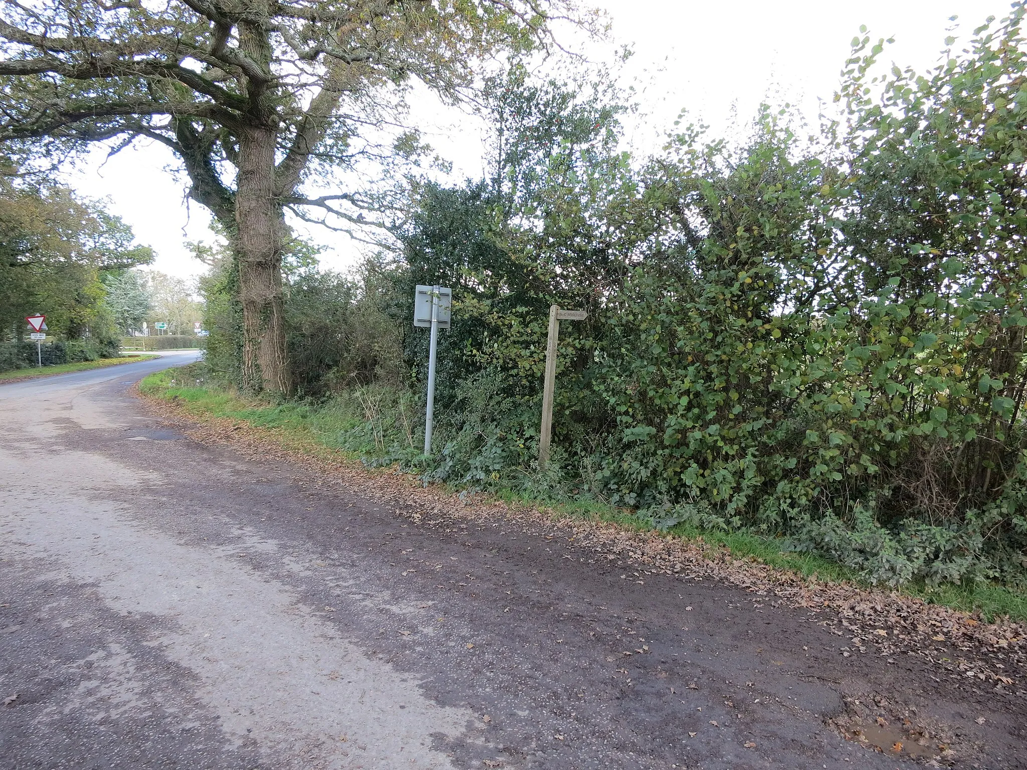 Photo showing: Bridleway BW1864