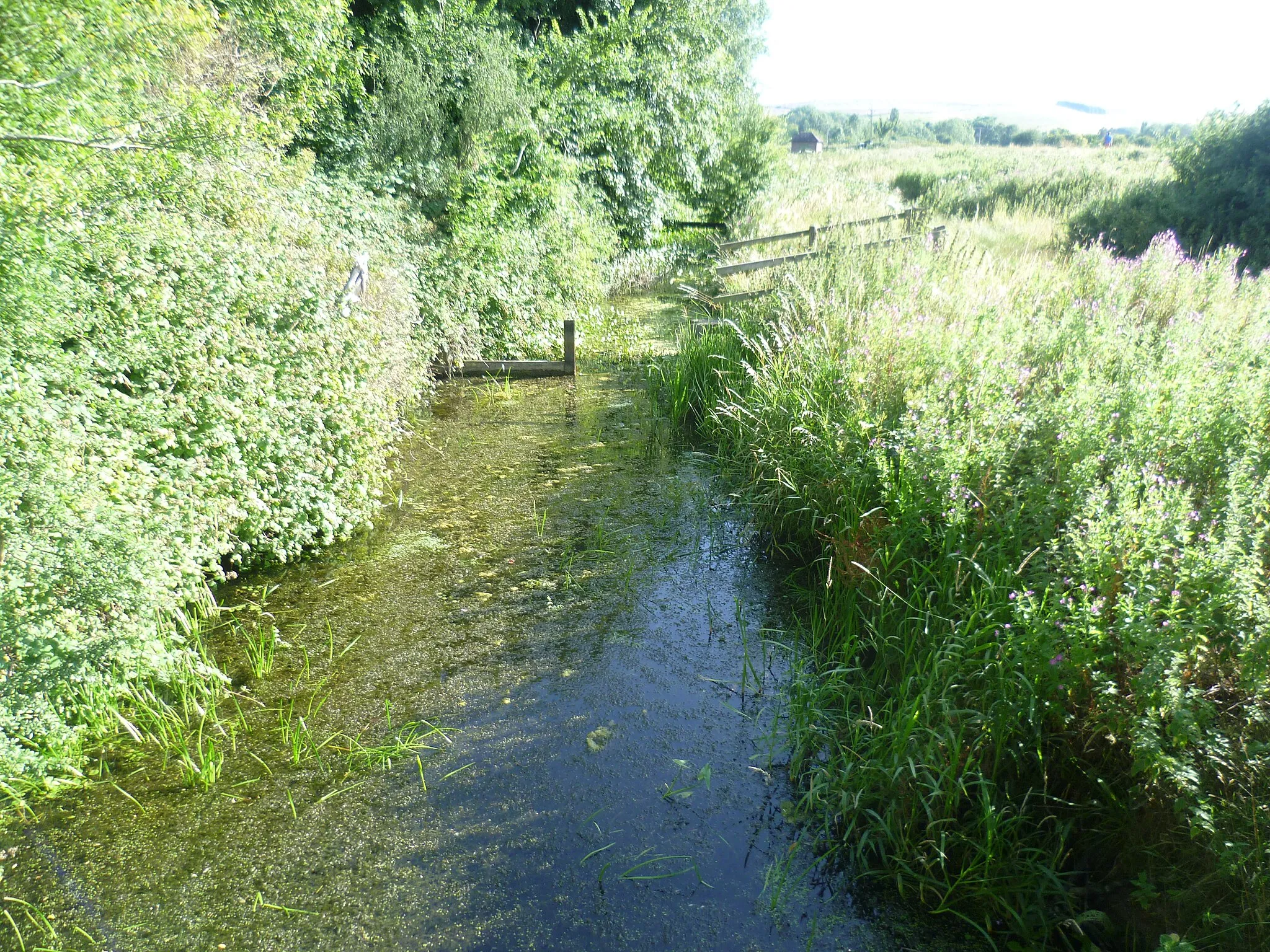 Photo showing: A tributary of the River Adur