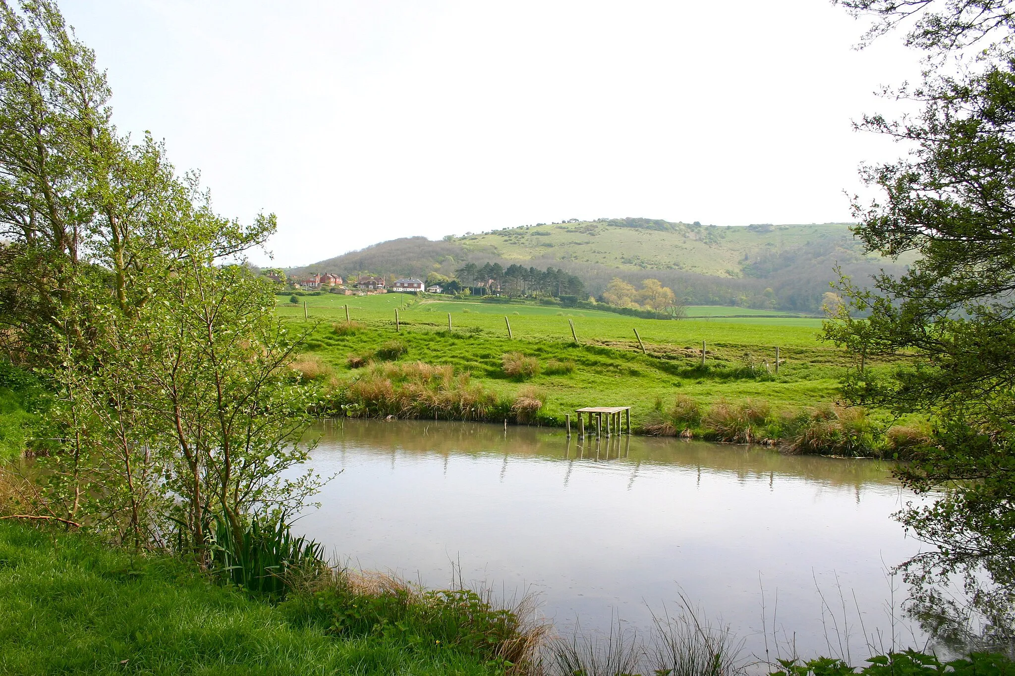 Photo showing: A Pond near Poynings