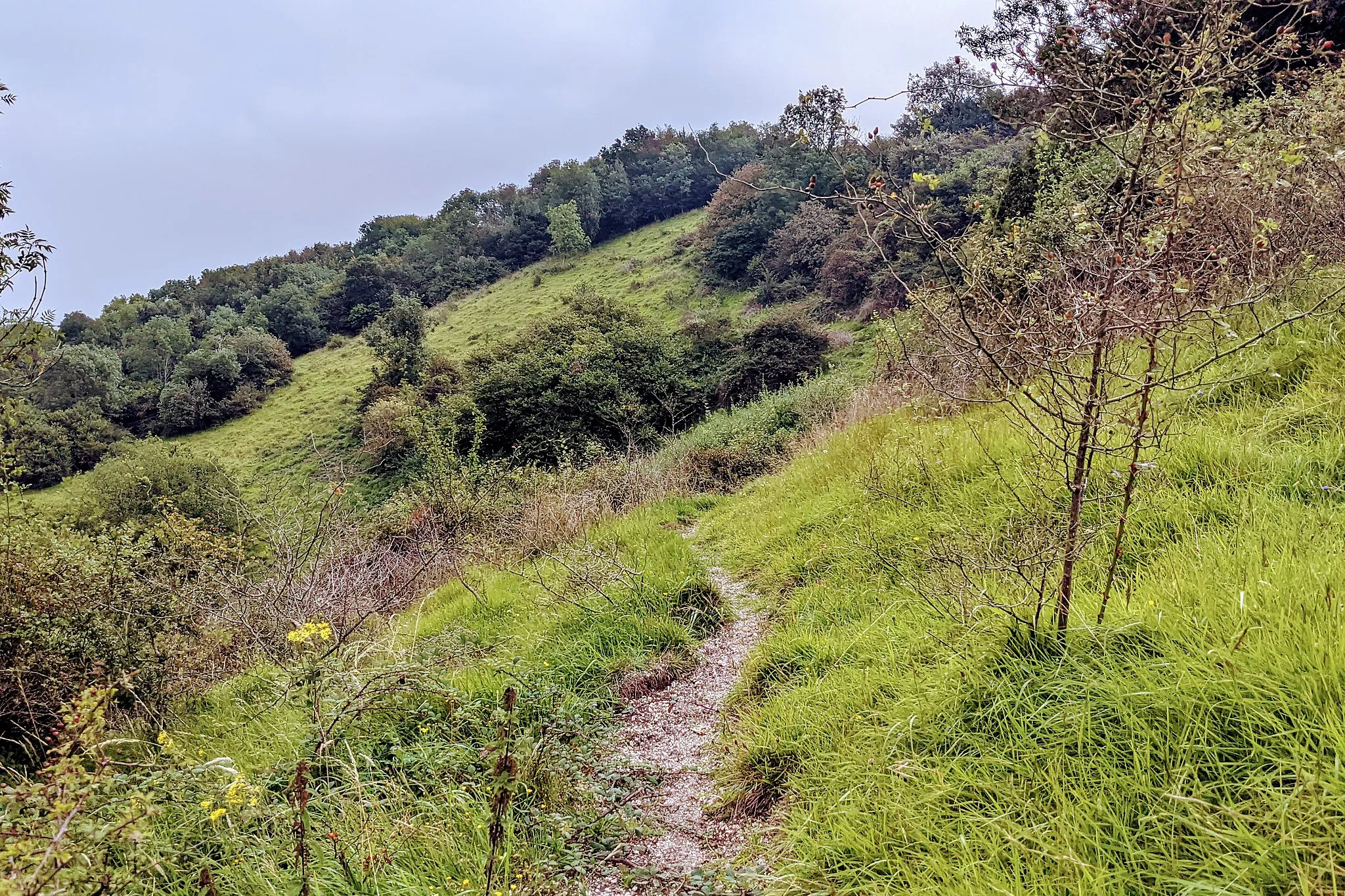 Photo showing: Clayton Holt path along steep slope, going east towards Ditching Beacon.