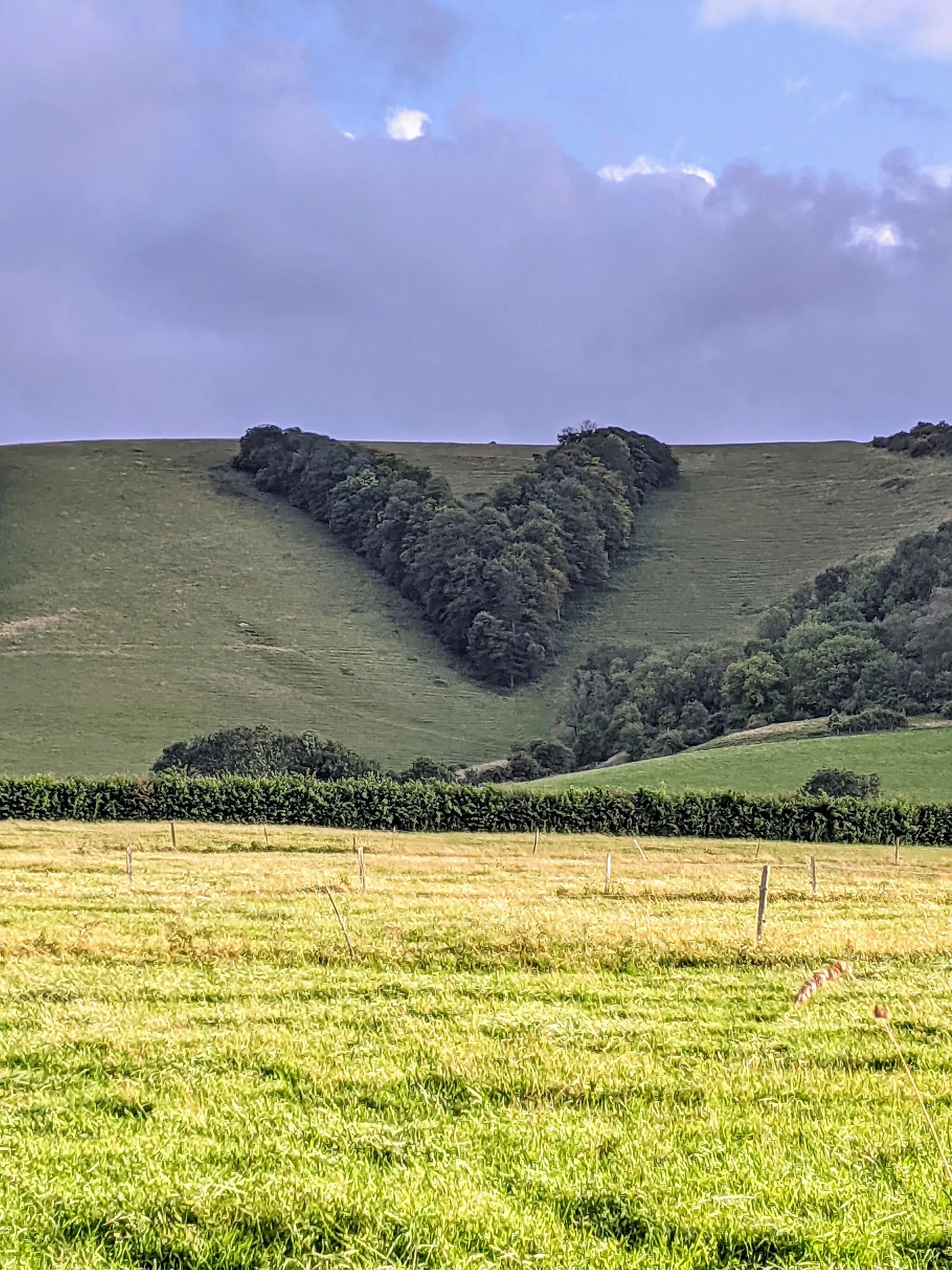 Photo showing: To the west of the Streat Hill bostal there is the Queen Victoria Jubilee plantation, which forms the sign of a V on the middle of the bare scarp slope. Six species were planted in 1887 to mark Queen Victoria's Silver Jubilee, including pine.