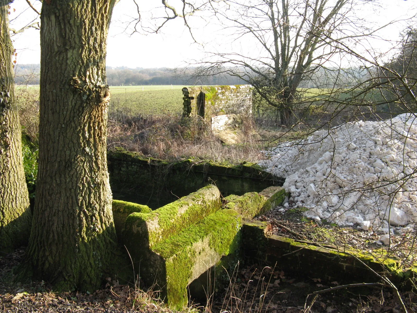 Photo showing: Ruins of Old Barn near Lashmar Wood