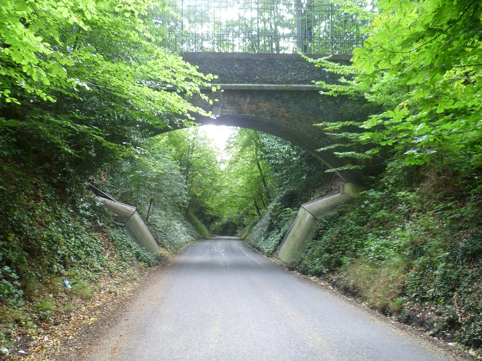 Photo showing: Bridge over Vigo Hill