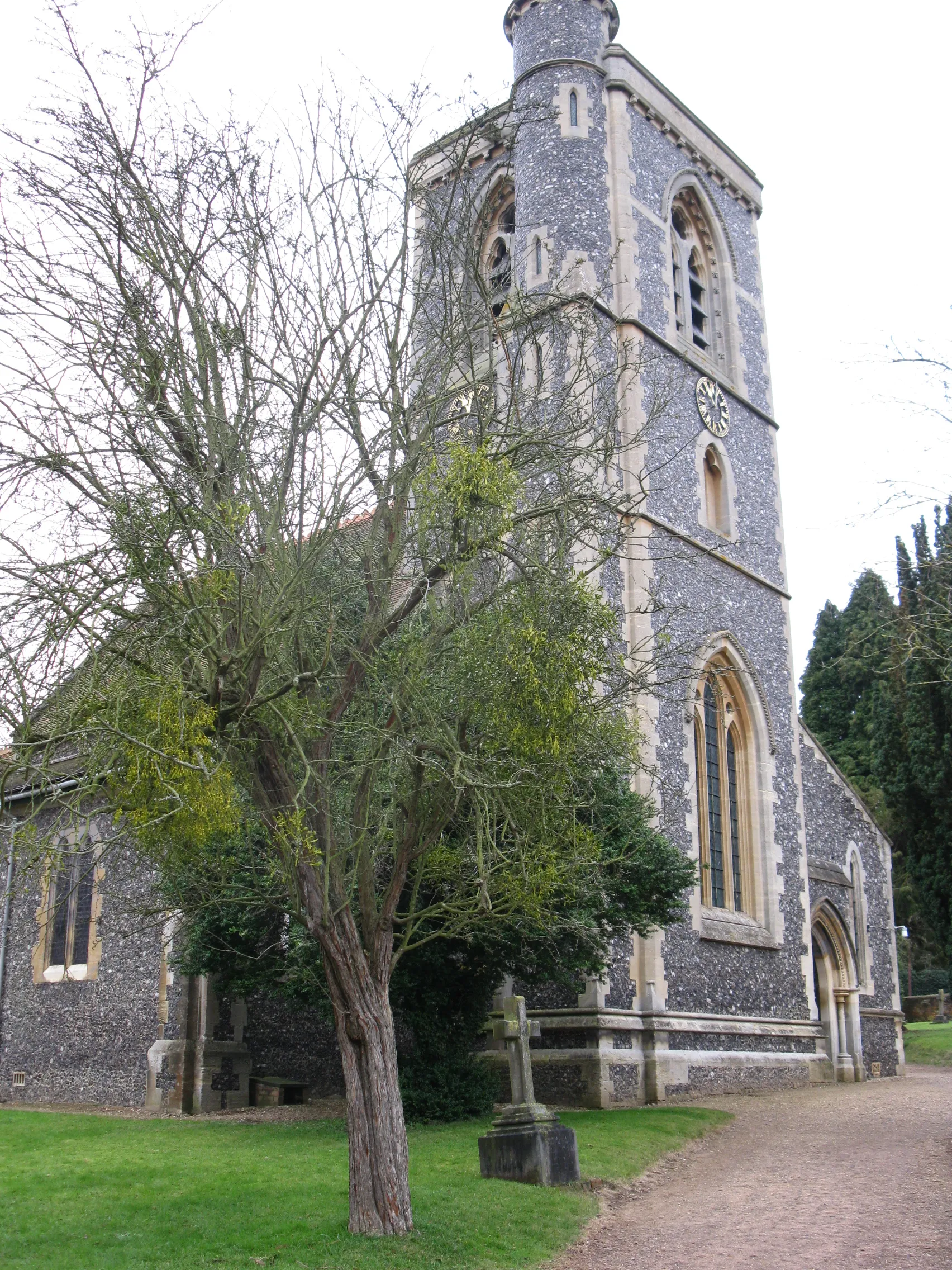 Photo showing: Mistletoe at St Mary's