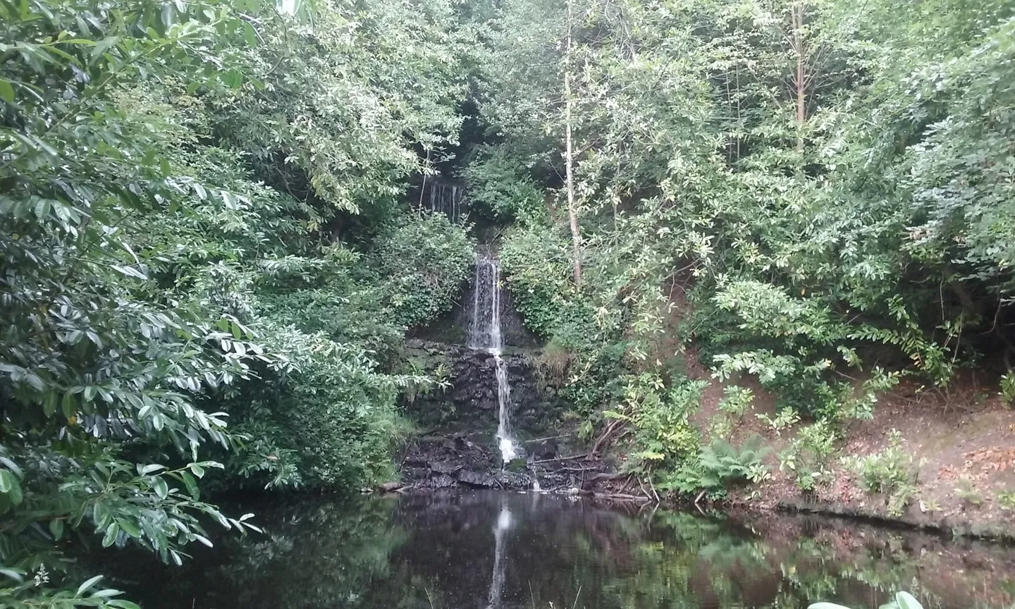 Photo showing: Tillingbourne Waterfall, towards Mandrakes, Broadmoor, Wotton.