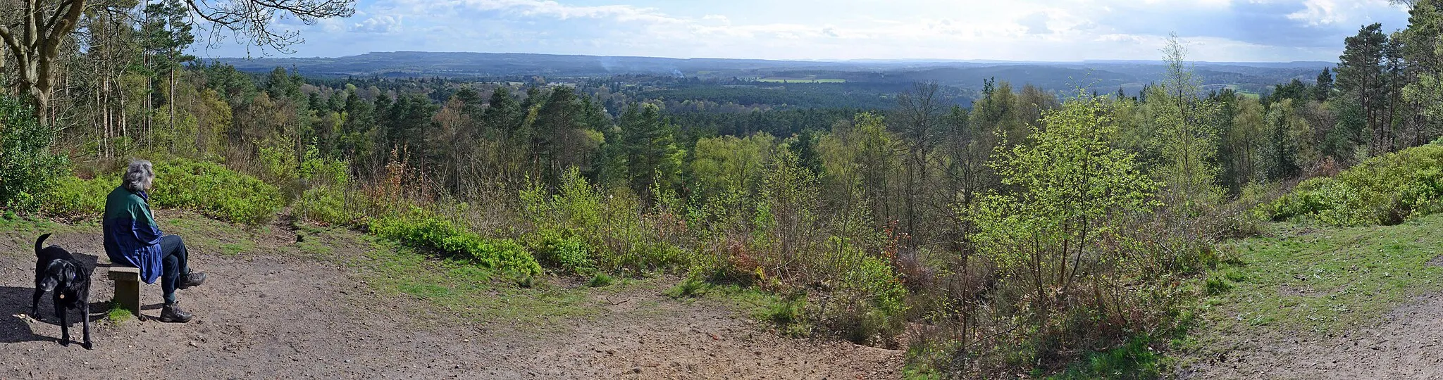 Photo showing: Looking at the only sector of the potential view currently available from SU 8787 4595, which is otherwise obscured by nearby trees. Centred looking to the west of Hindhead from the view-table.