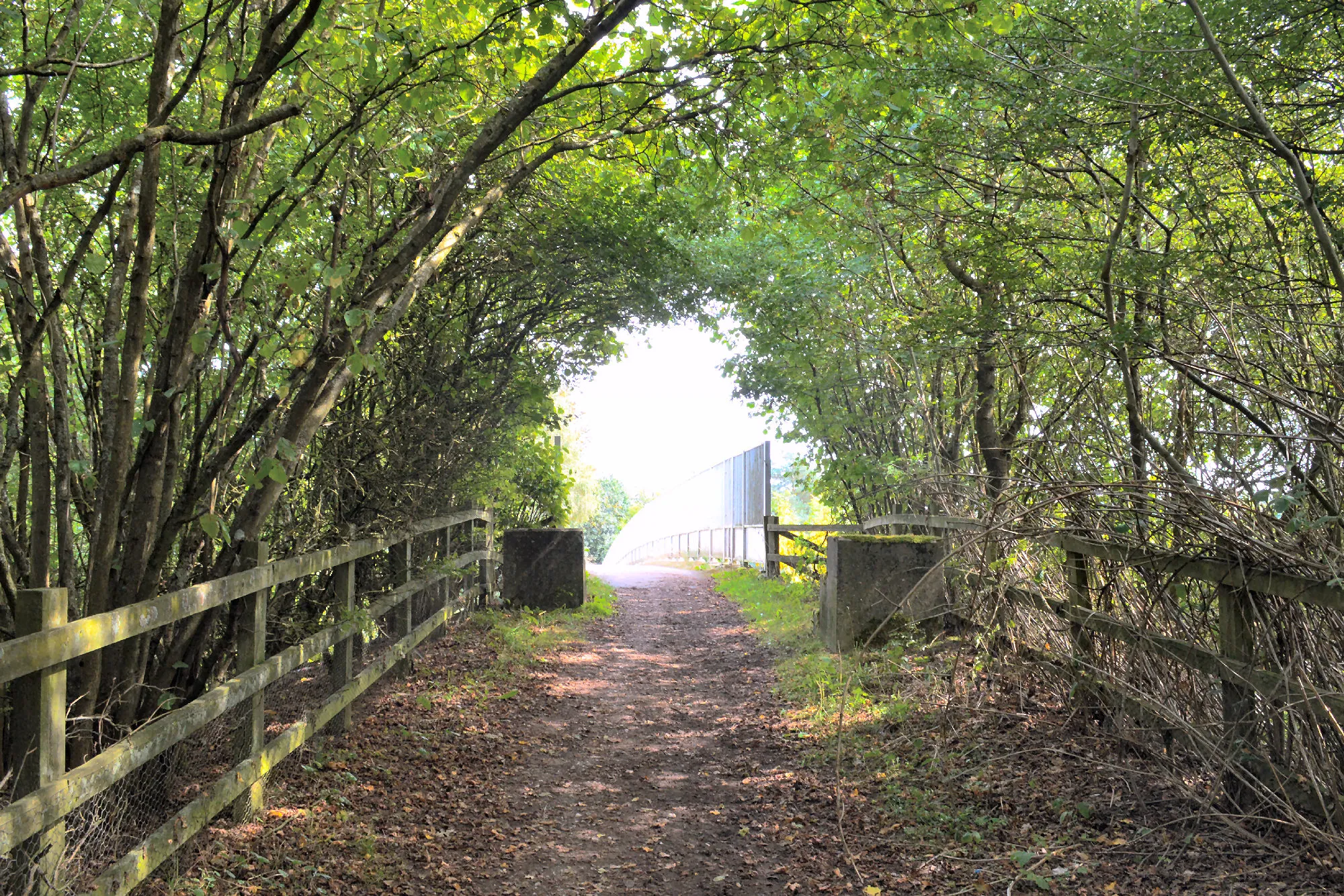 Photo showing: Fox Way, crossing the A3 at Eashing