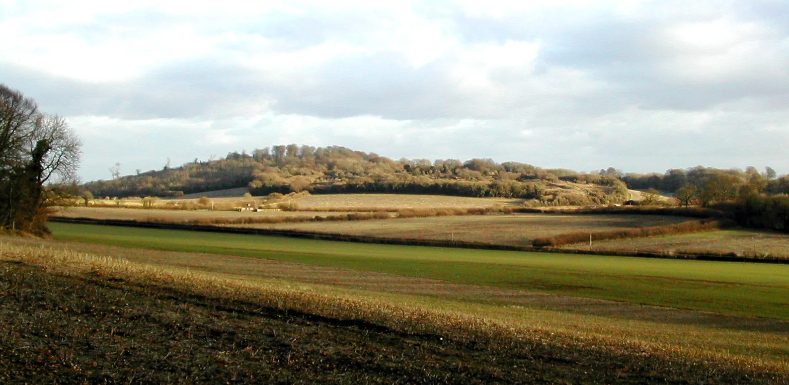 Photo showing: Noar Hill, Hampshire. Photographed by Jonathan Barnes, 26 Jan 2006