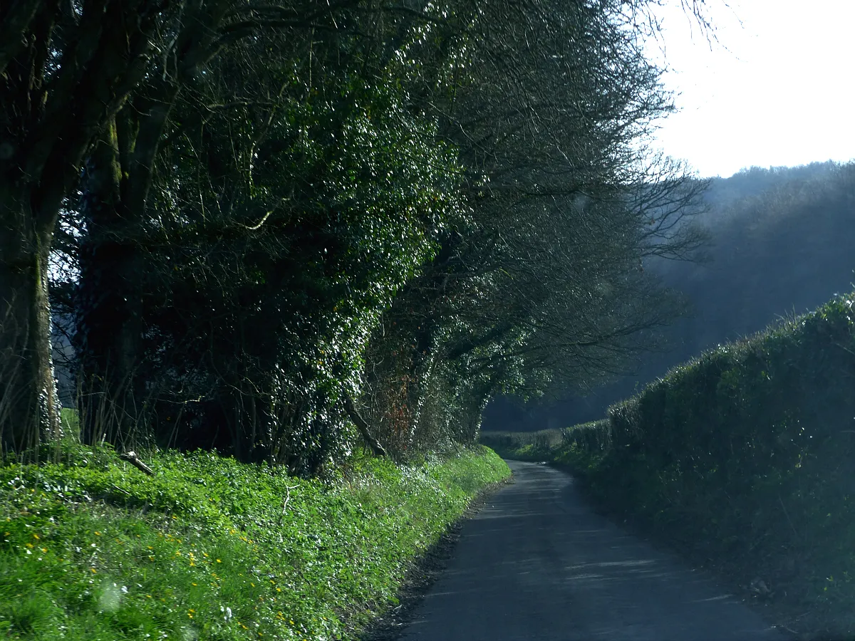 Photo showing: New Barn Lane