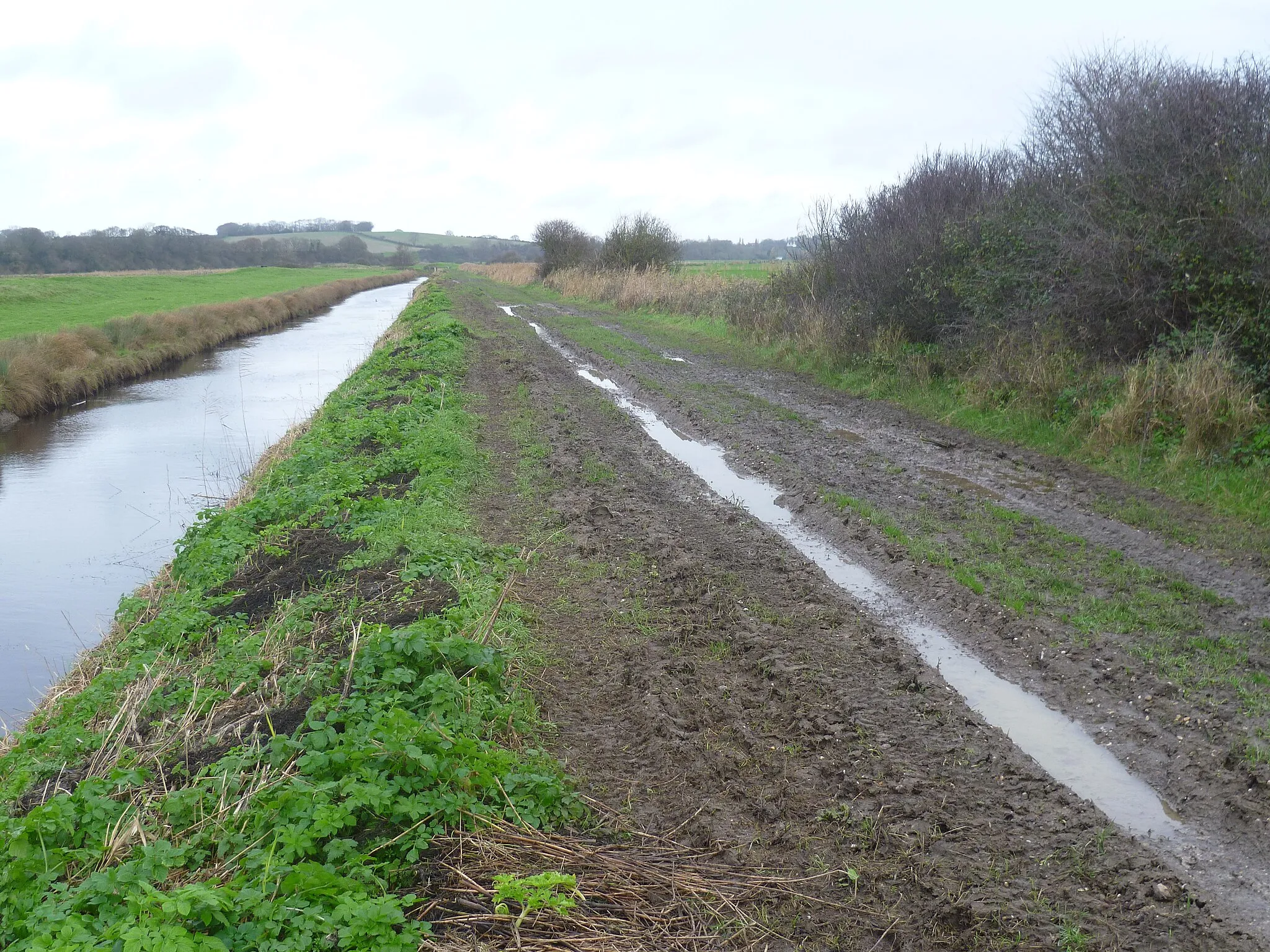Photo showing: A muddy Saxon Shore Way alongside the Royal Military Canal