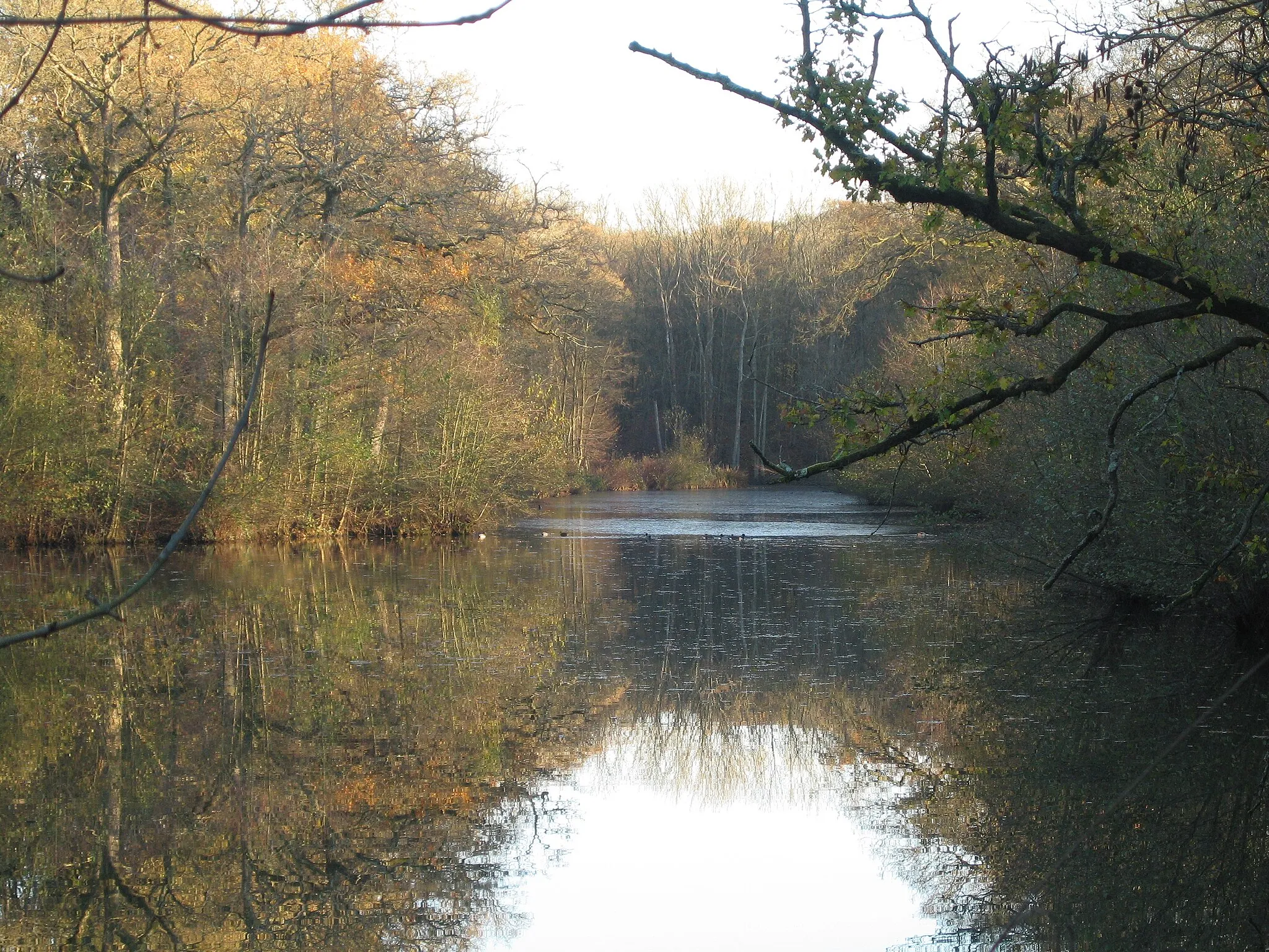 Photo showing: The Haven Lake