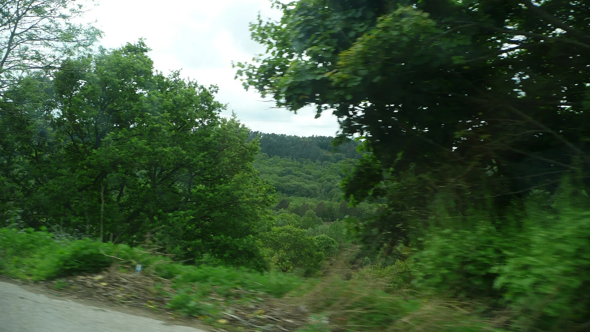 Photo showing: A view down into the Devil's Punch Bowl, seen from the A3 Portsmouth Road around it. This was taken from the London bound side, after going through Hindhead.