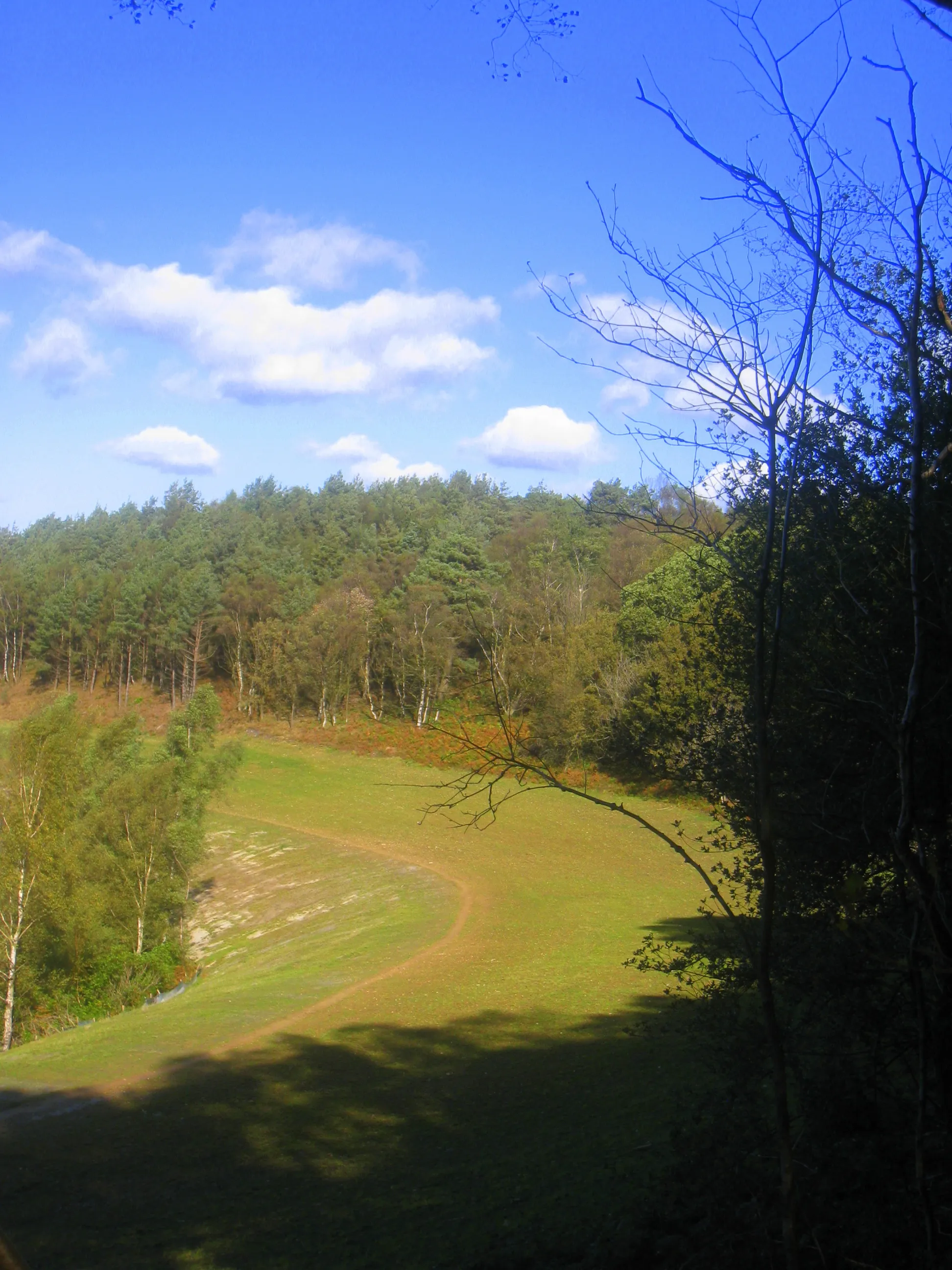 Photo showing: Route of the old A3 close to Gibbet Hill, Hindhead, Surrey. The route of the old A3 that has been replaced by the Hindhead Tunnel taken from close to Gibbet Hill.  The old road is being returned to nature.