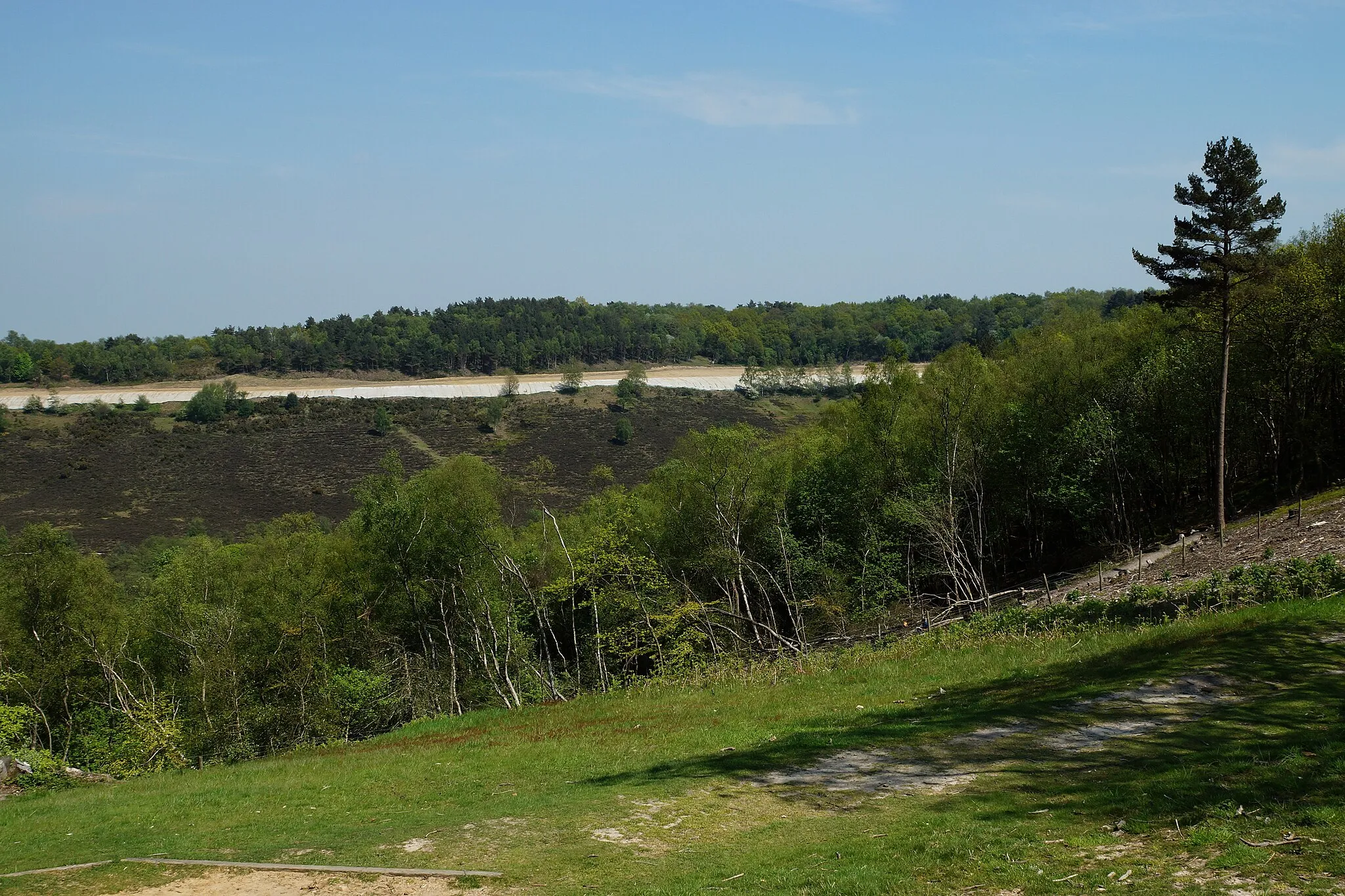 Photo showing: View Across the Devil's Punch Bowl, Hindhead, Surrey