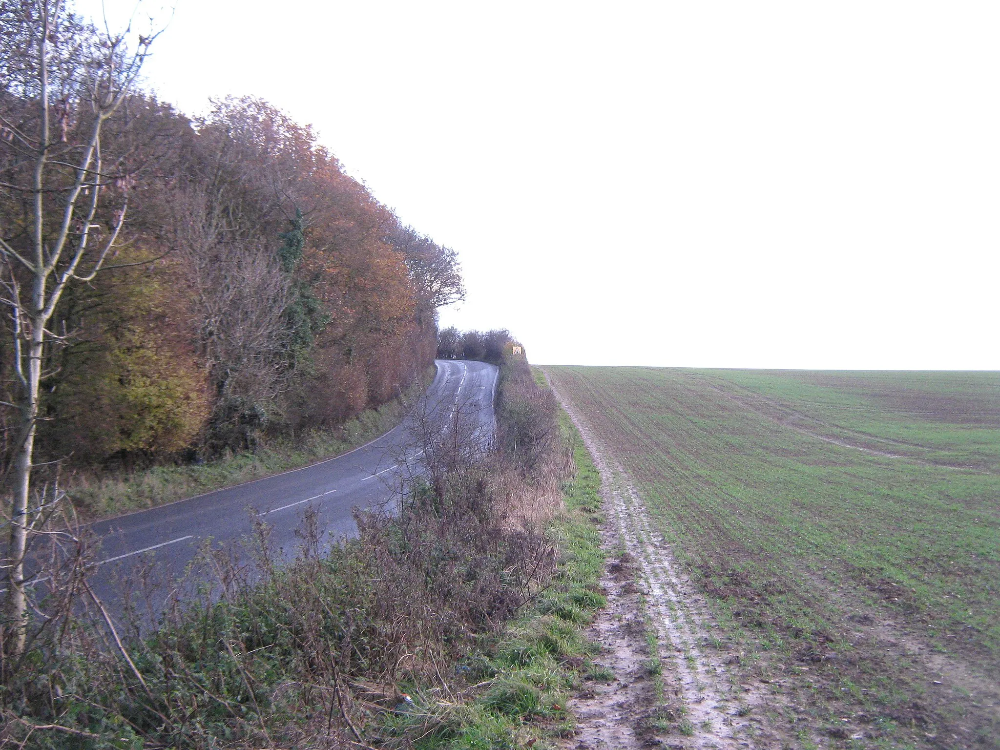 Photo showing: North Downs Way to Farthing Common