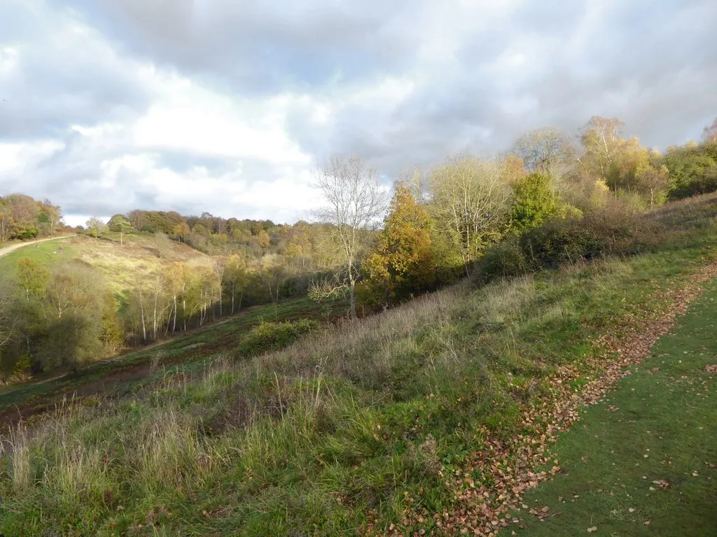 Photo showing: Downland, Headley Heath