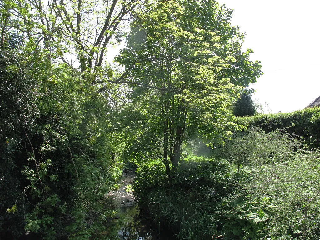 Photo showing: River Eden at Limpsfield