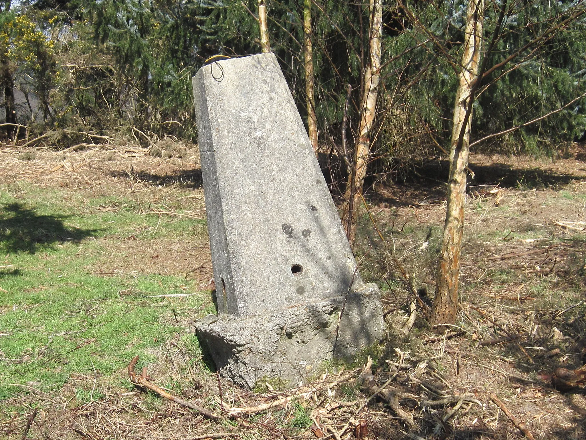 Photo showing: Ordnance Survey Trig Pillar S1669