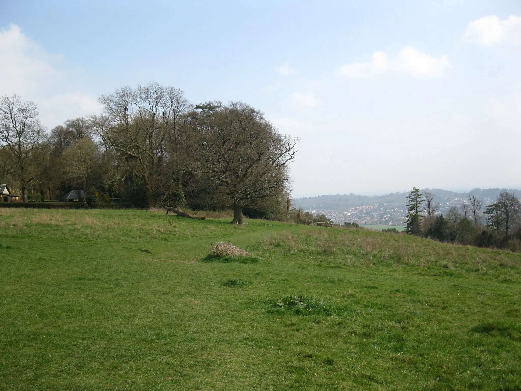 Photo showing: Steer's Field