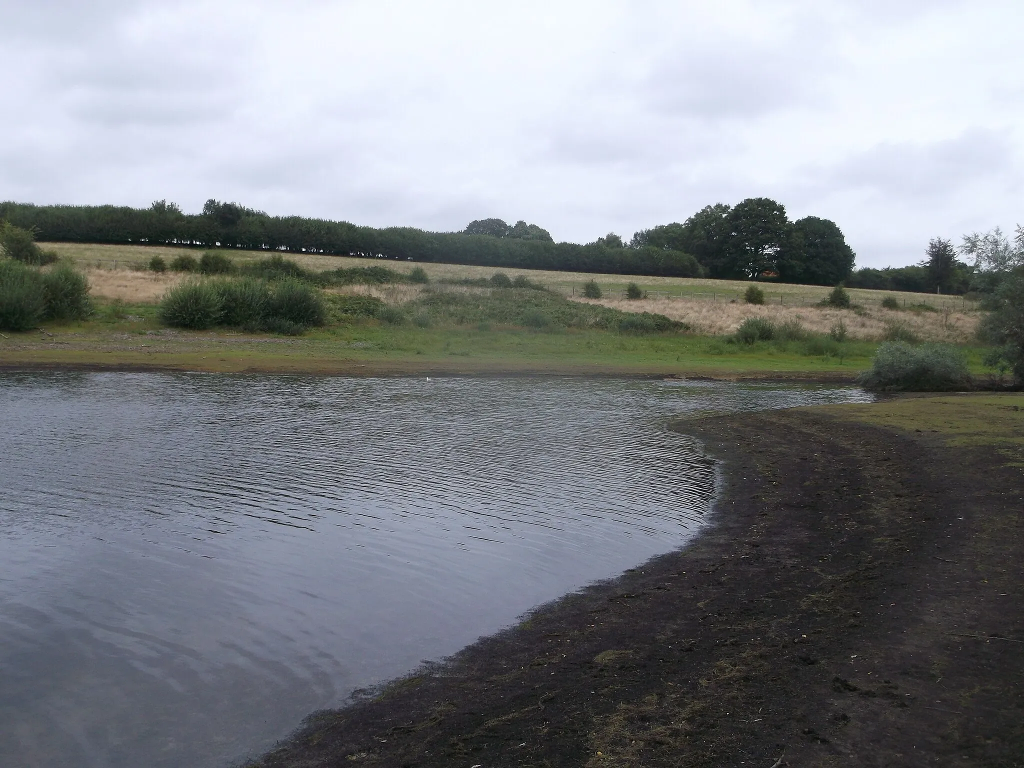 Photo showing: Goose Corner, Bewl Water