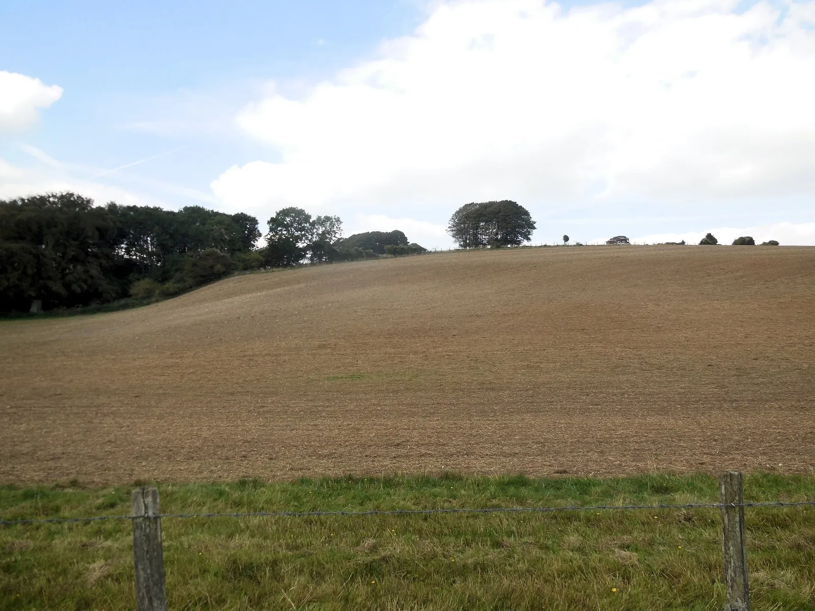 Photo showing: Downland near Bow Hill