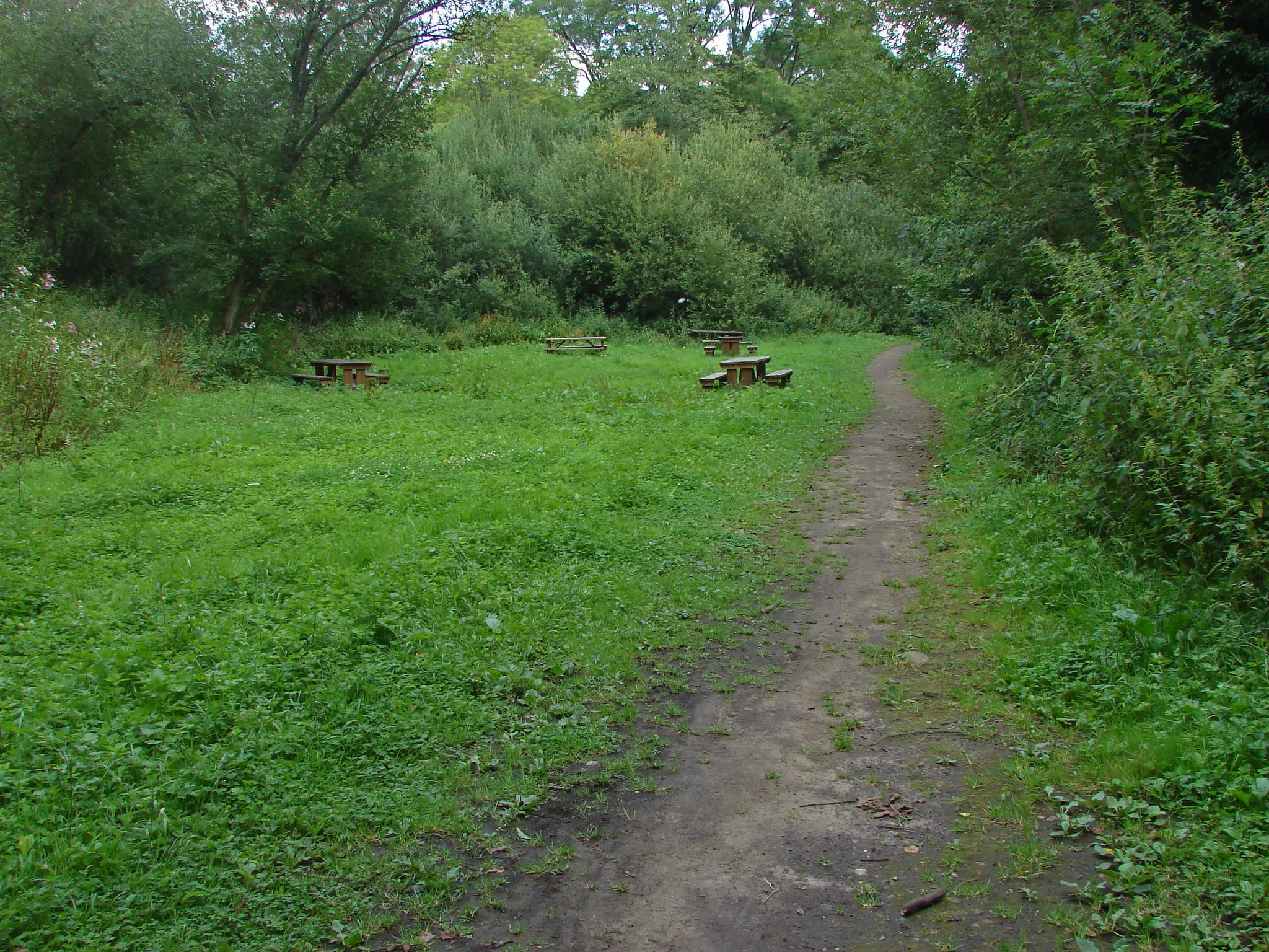 Photo showing: Picnic area, Chilworth powder mills