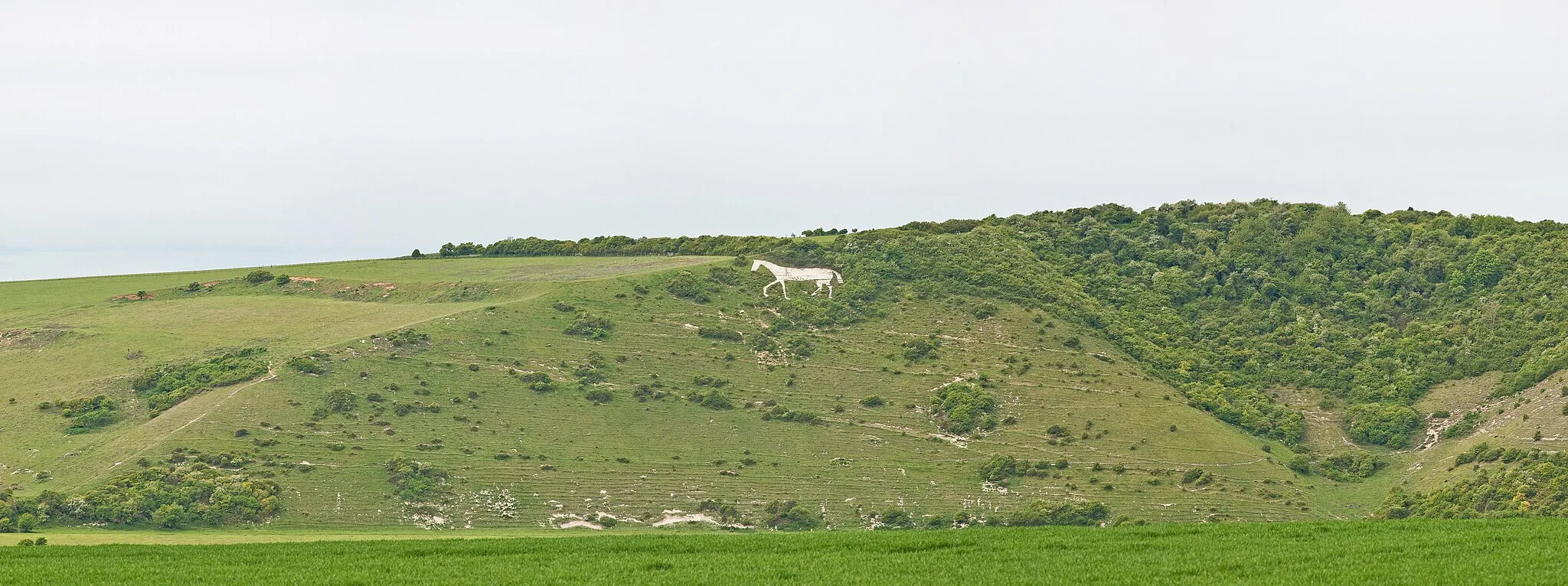 Photo showing: The chalk horse west of Littlington in the Cuckmere Valley, East Sussex, England.