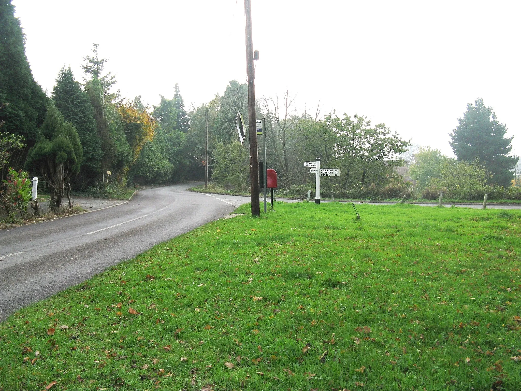 Photo showing: Abundant poles at Saint Hill Green