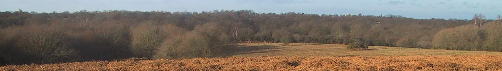 Photo showing: Ditchling Common, Sussex. A Winter view.