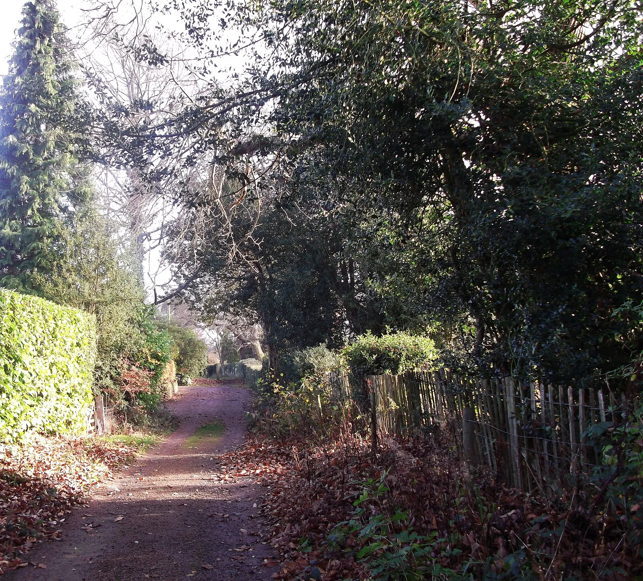Photo showing: Greensand Way to Limpsfield Chart