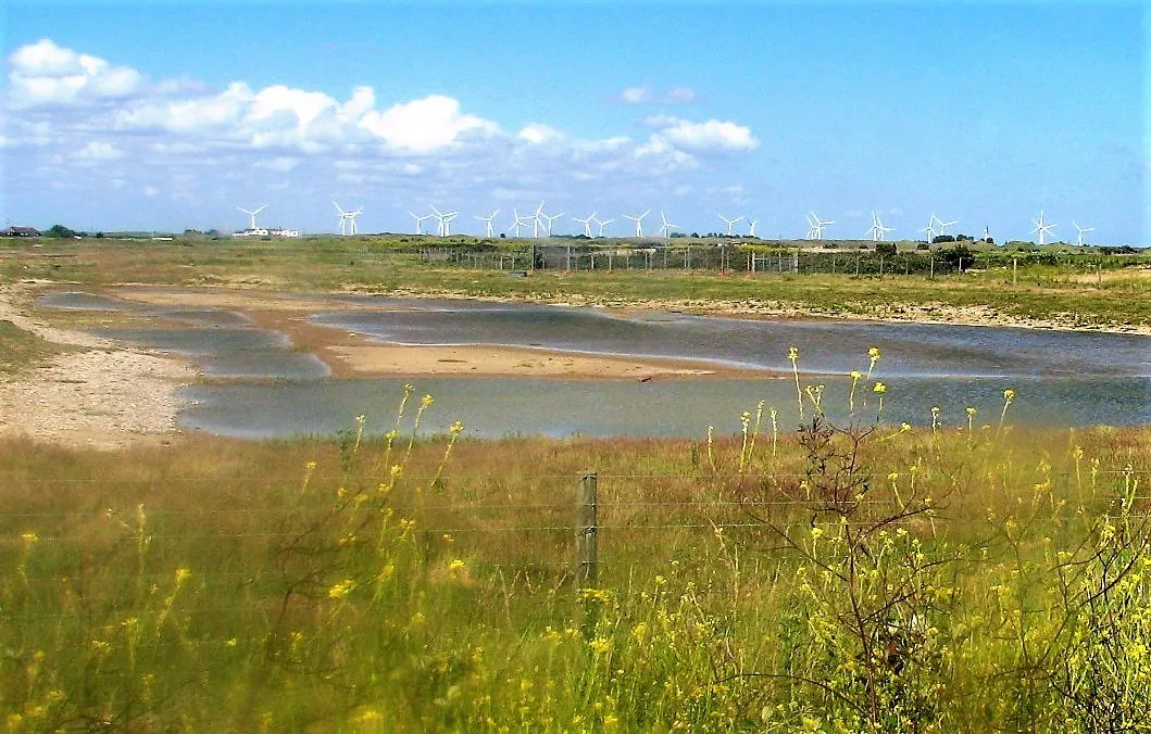 Photo showing: Distant windmills from Rye Harbour Nature Reserve