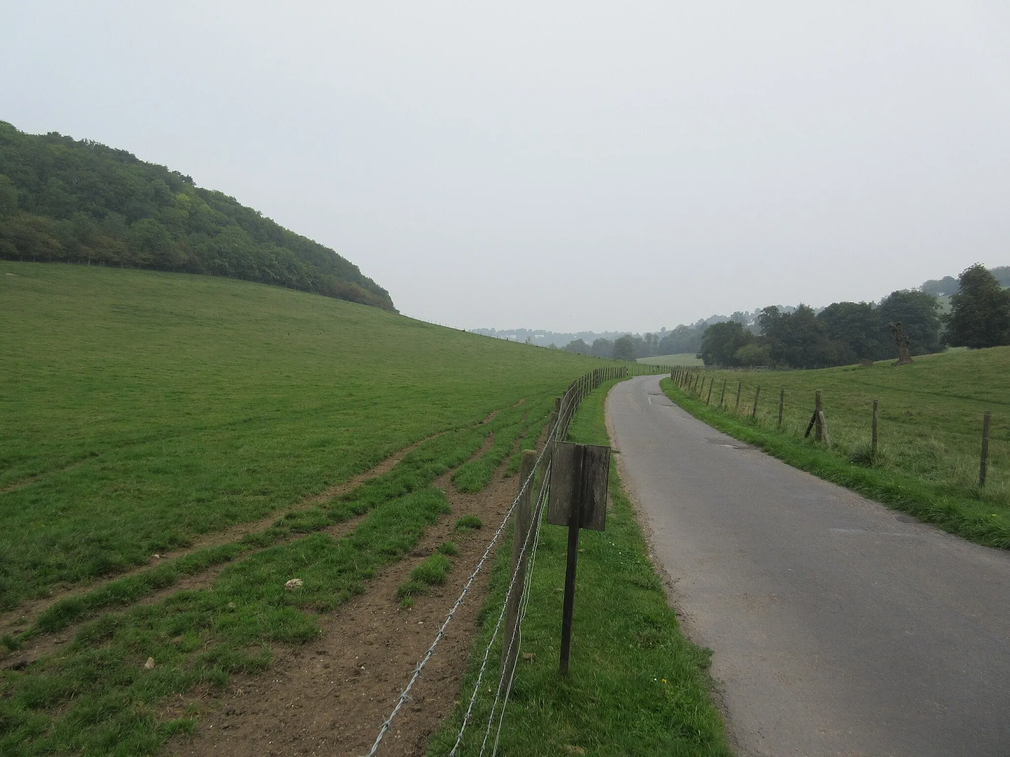 Photo showing: Access road from Woldingham School
