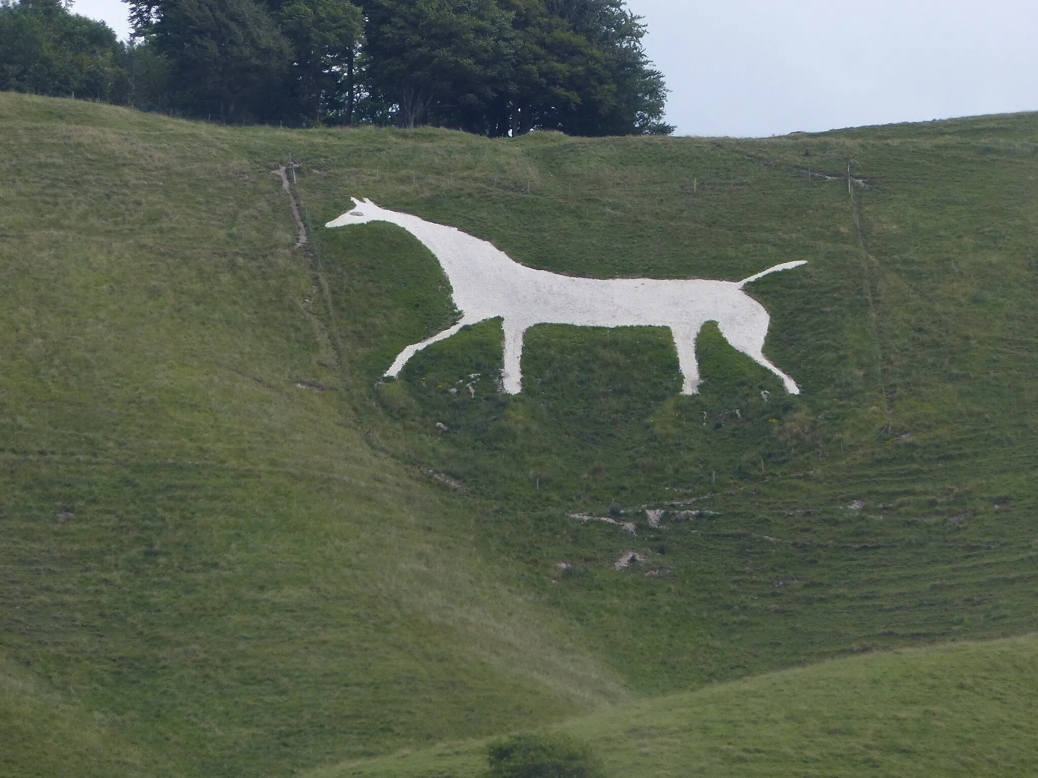 Photo showing: Scharrbild in Kreideuntergrund. The Cherhill White Horse, (Not Westbury White Horse. Richard Avery (talk) 15:51, 4 November 2015 (UTC)