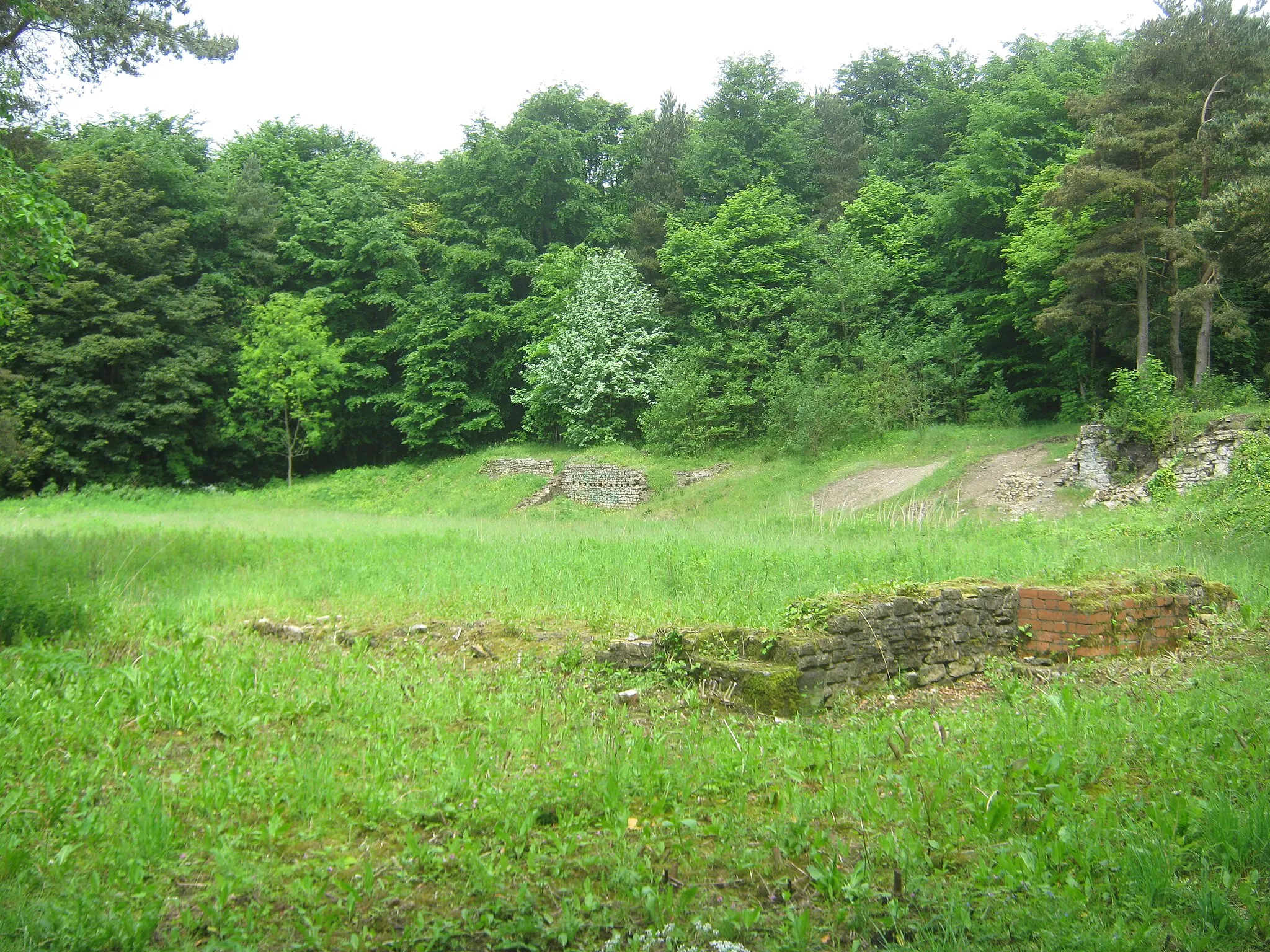 Photo showing: Remains of Coxhoe Hall in Coxhoe Wood
