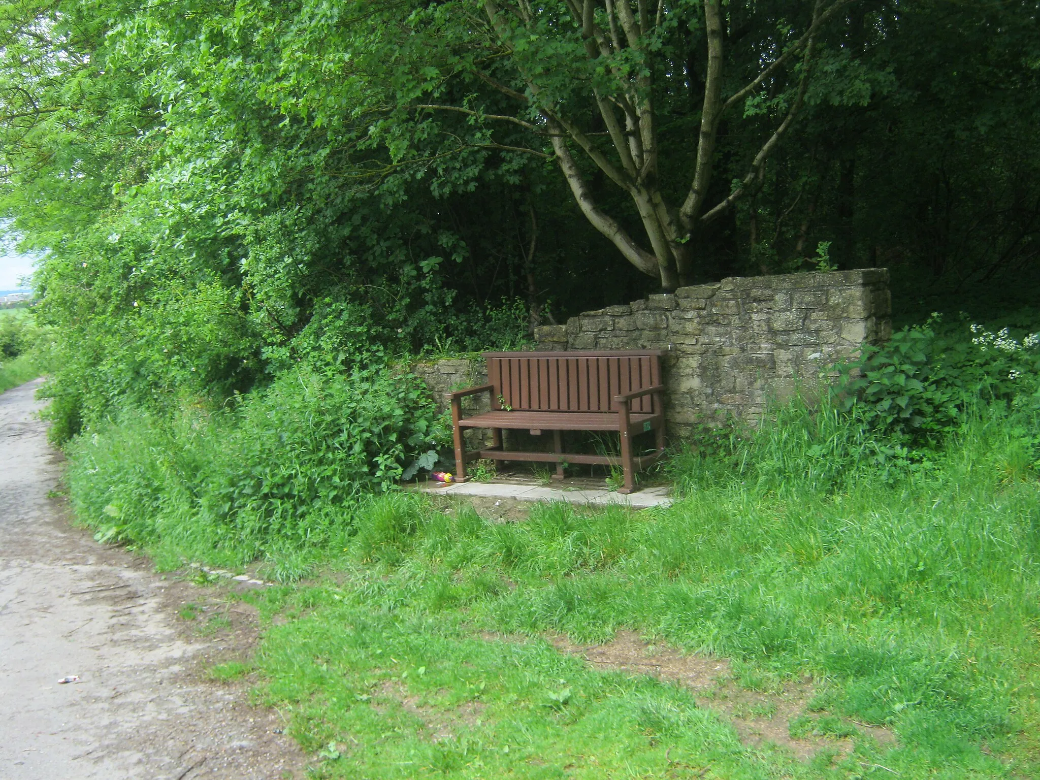 Photo showing: Seat at the southern edge of Coxhoe Wood