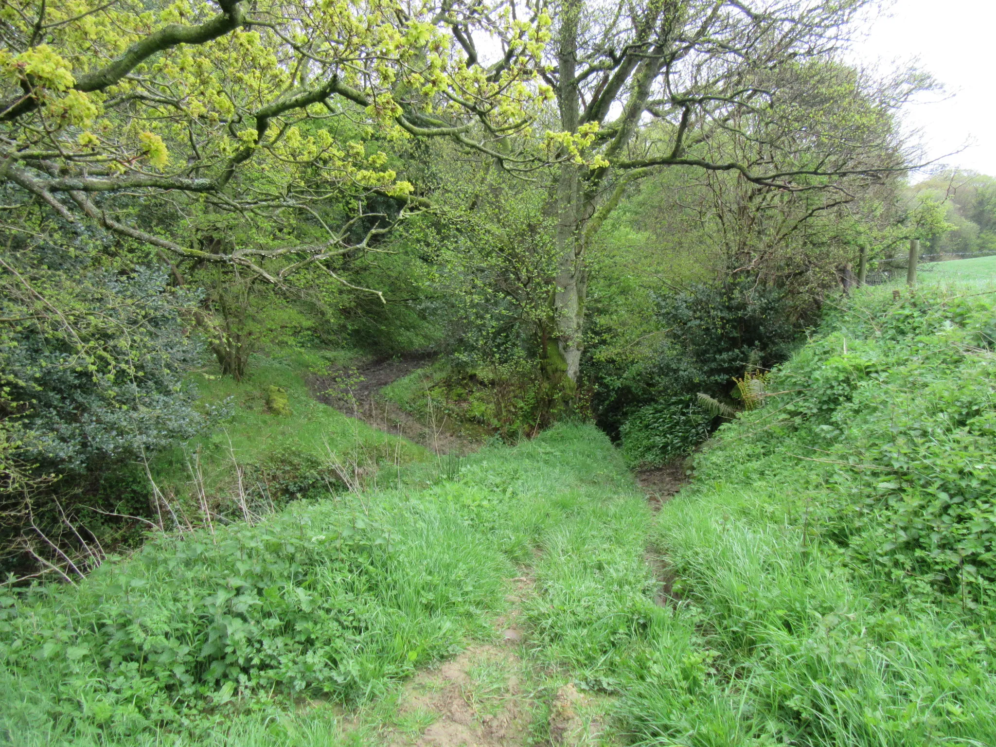 Photo showing: Approaching the ford