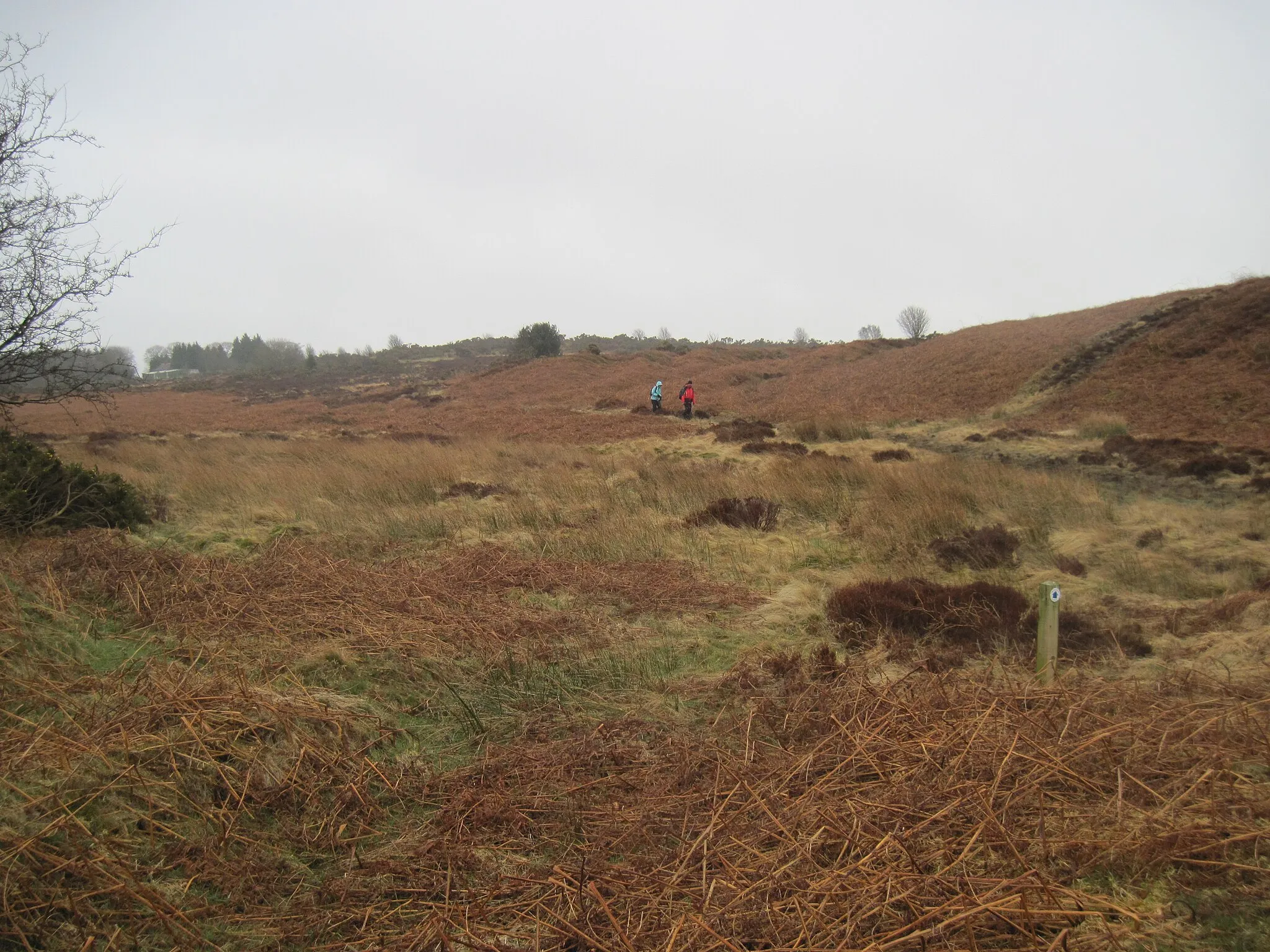 Photo showing: Bridleway  over  Ugthorpe  Moor