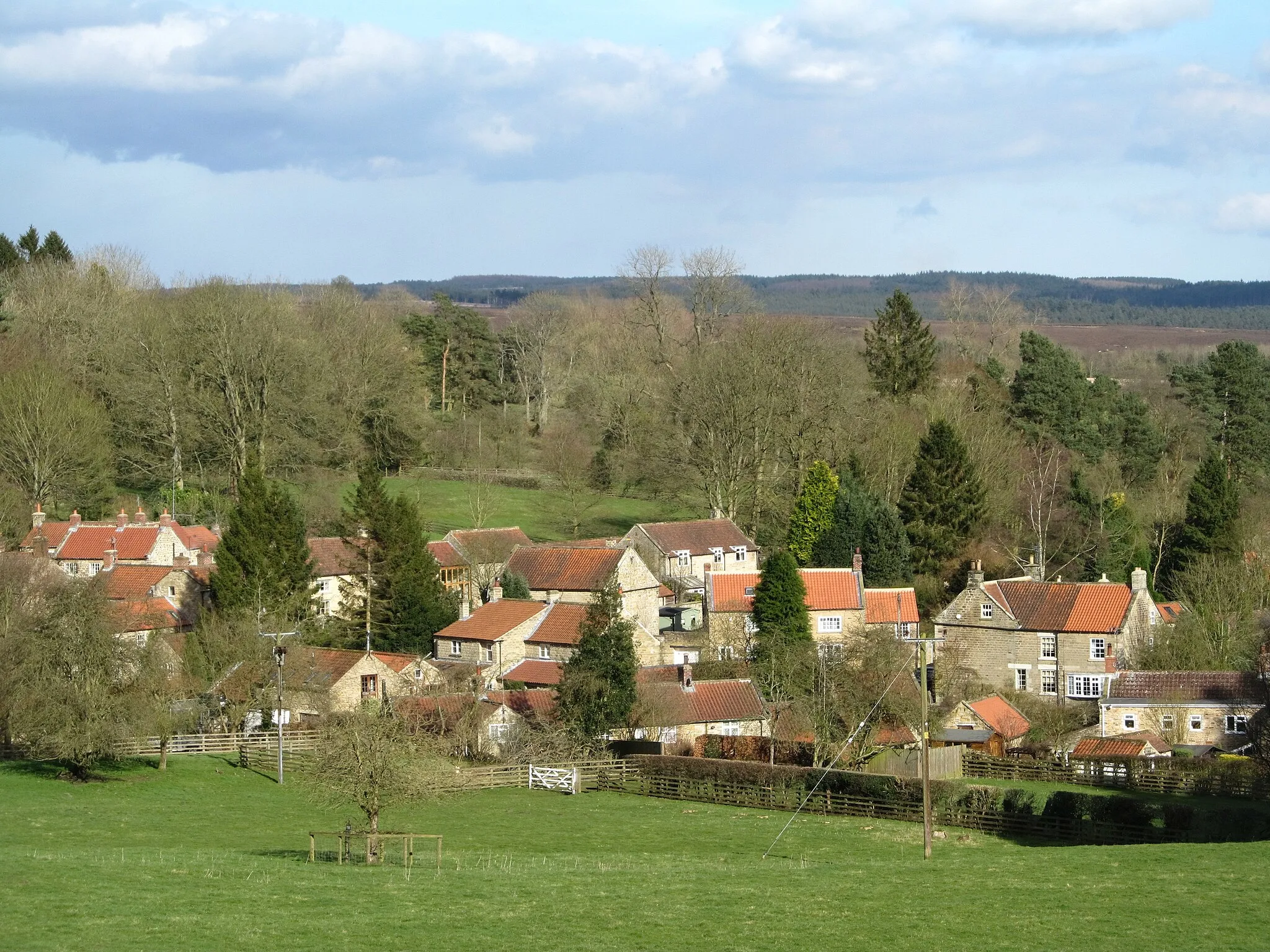 Photo showing: A view of Lastingham