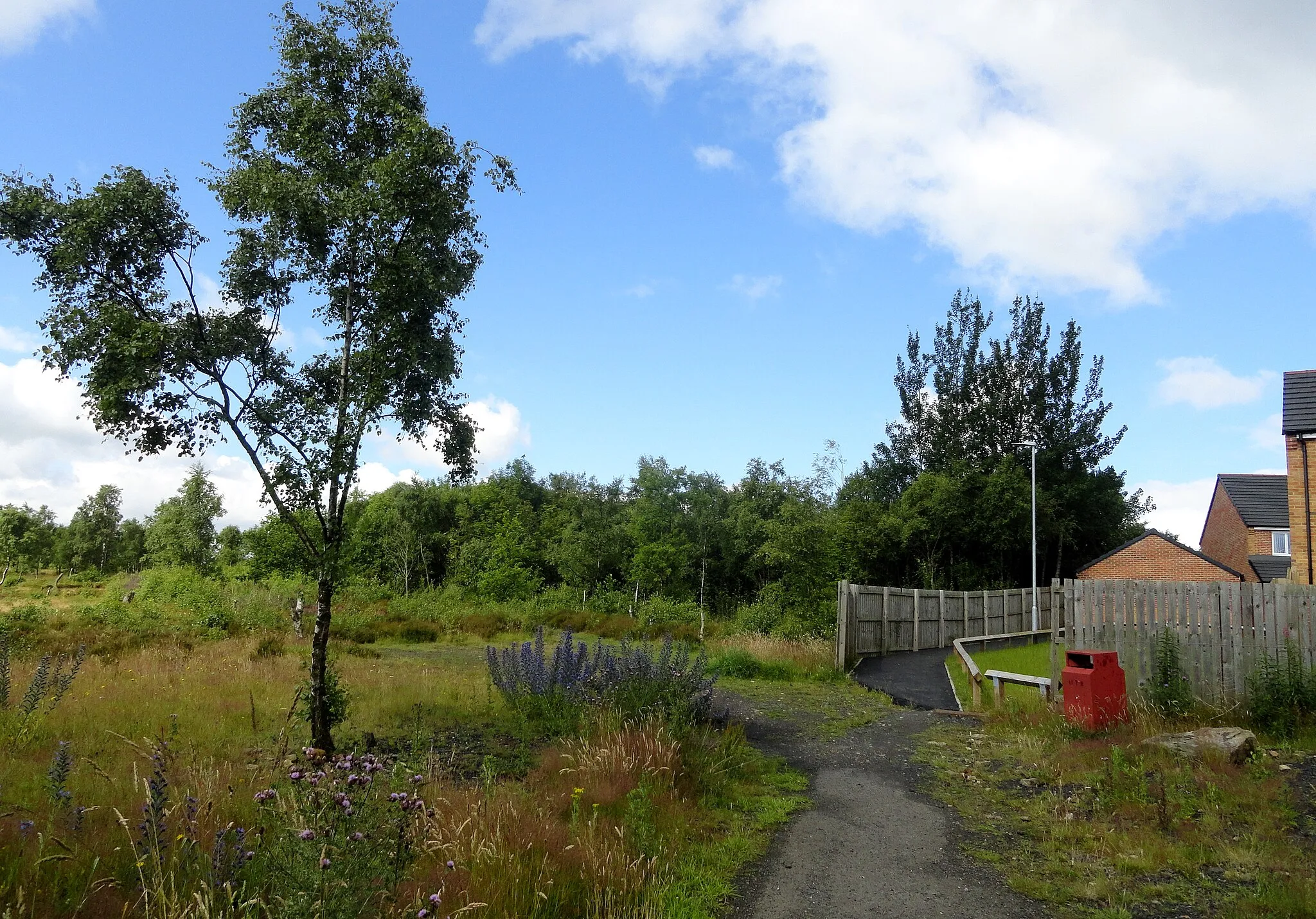 Photo showing: Scrubland behind new estate