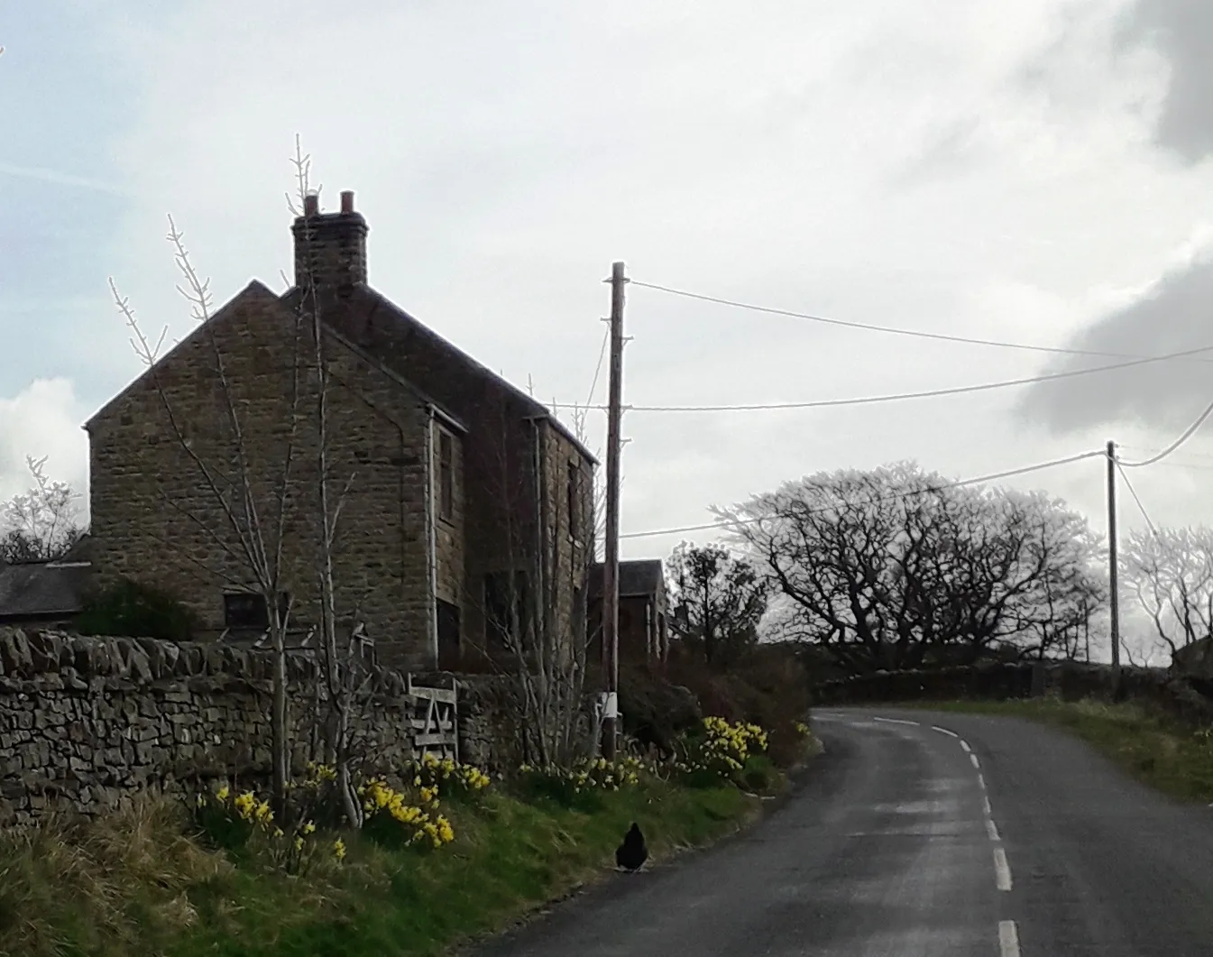 Photo showing: Lane near High Dyke, County Durham