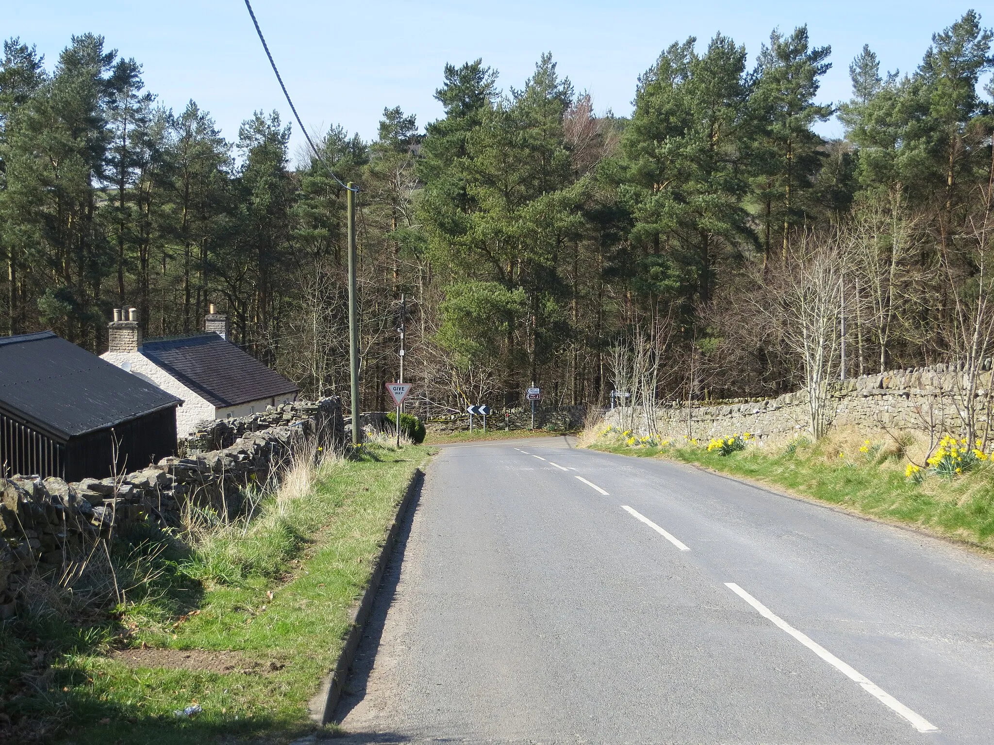 Photo showing: Road at High Dyke Farm in County Durham