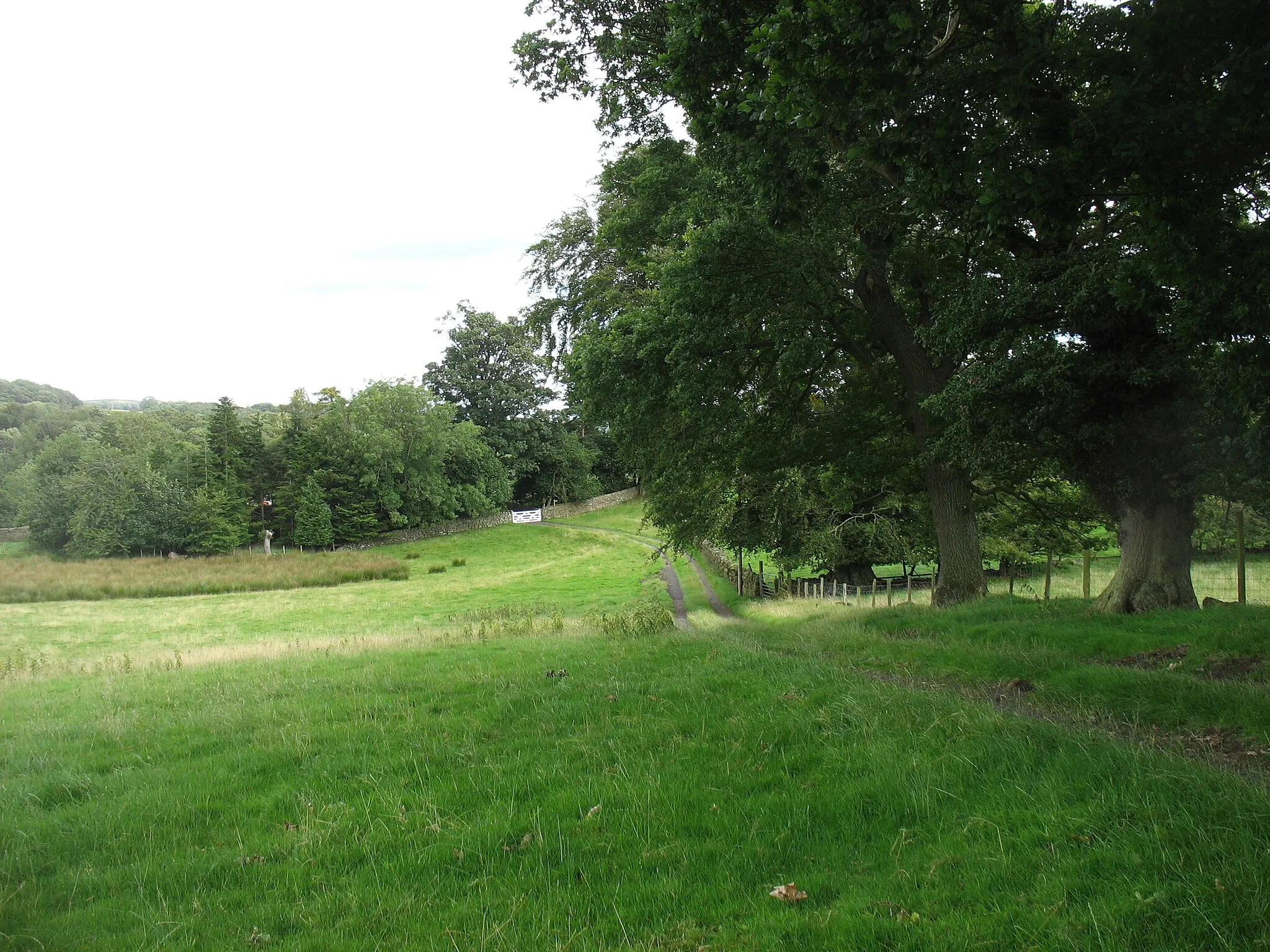 Photo showing: Footpath to Bardon Mill