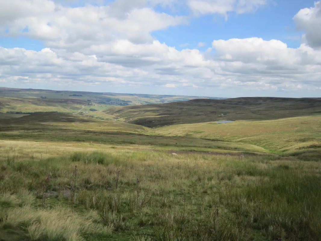 Photo showing: Moorland View towards Bollihope