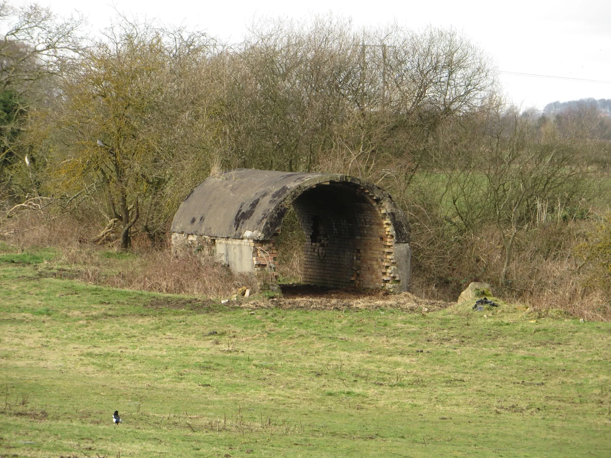 Photo showing: Small shed in a field, Pegswood