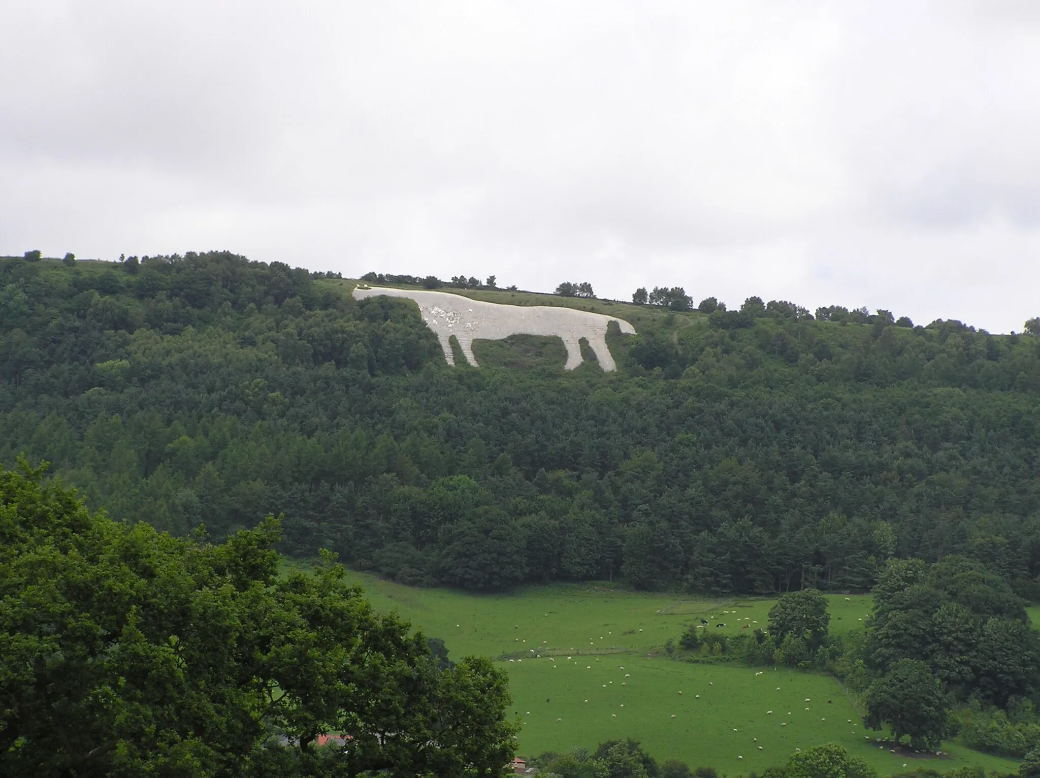 Photo showing: White Horse at Sutton Bank, Yorkshire, England