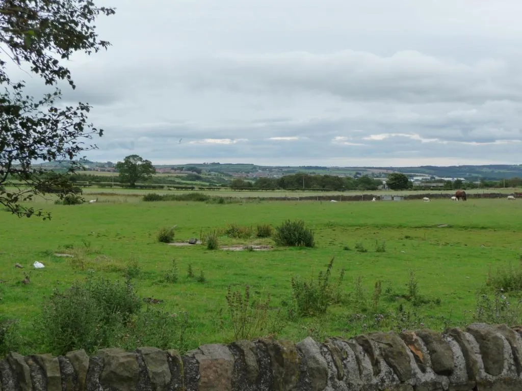Photo showing: Pasture on the edge of Rowley