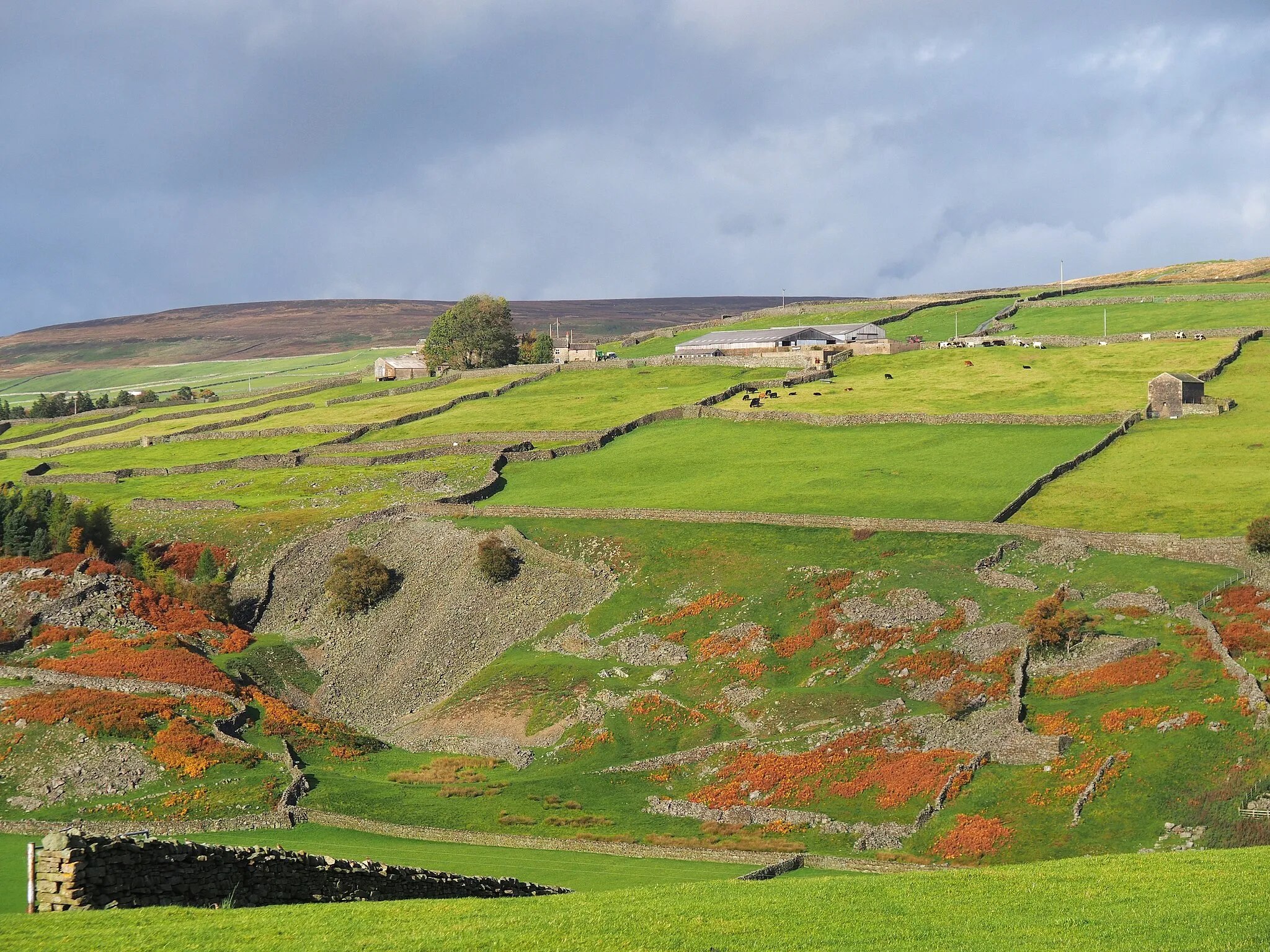 Photo showing: Characteristic appearance of the Yorkshire Dales: pastures below, moorland above. Taken near Whaw in Arkengarthdale.